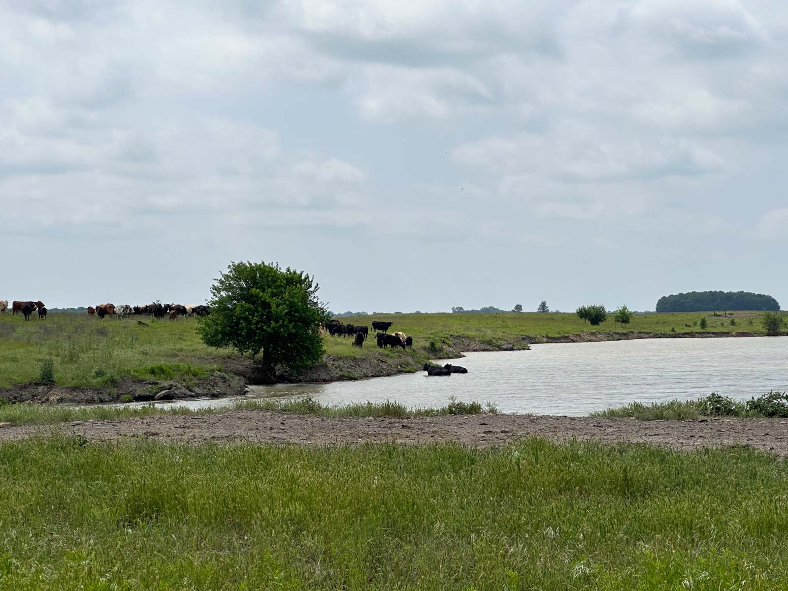 Barnes & Nettels B&N Ranch property picture 36 of 43