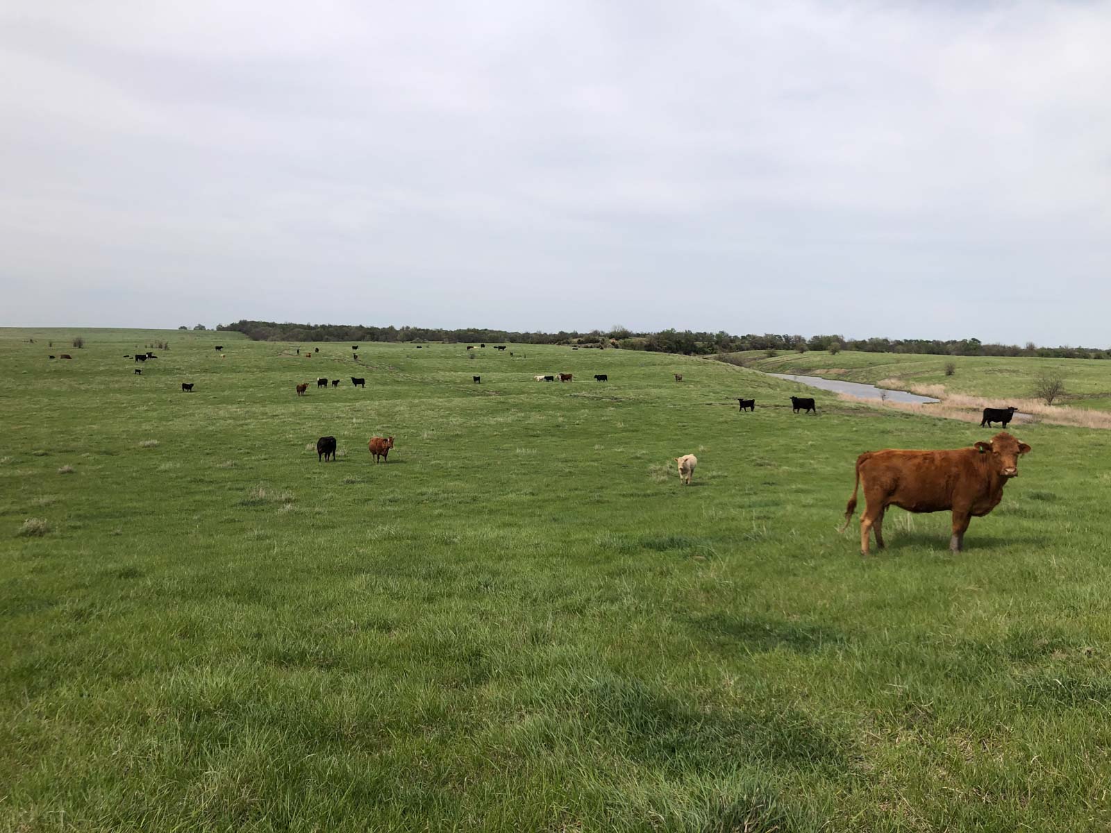 Barnes & Nettels B&N Ranch property picture 11 of 43