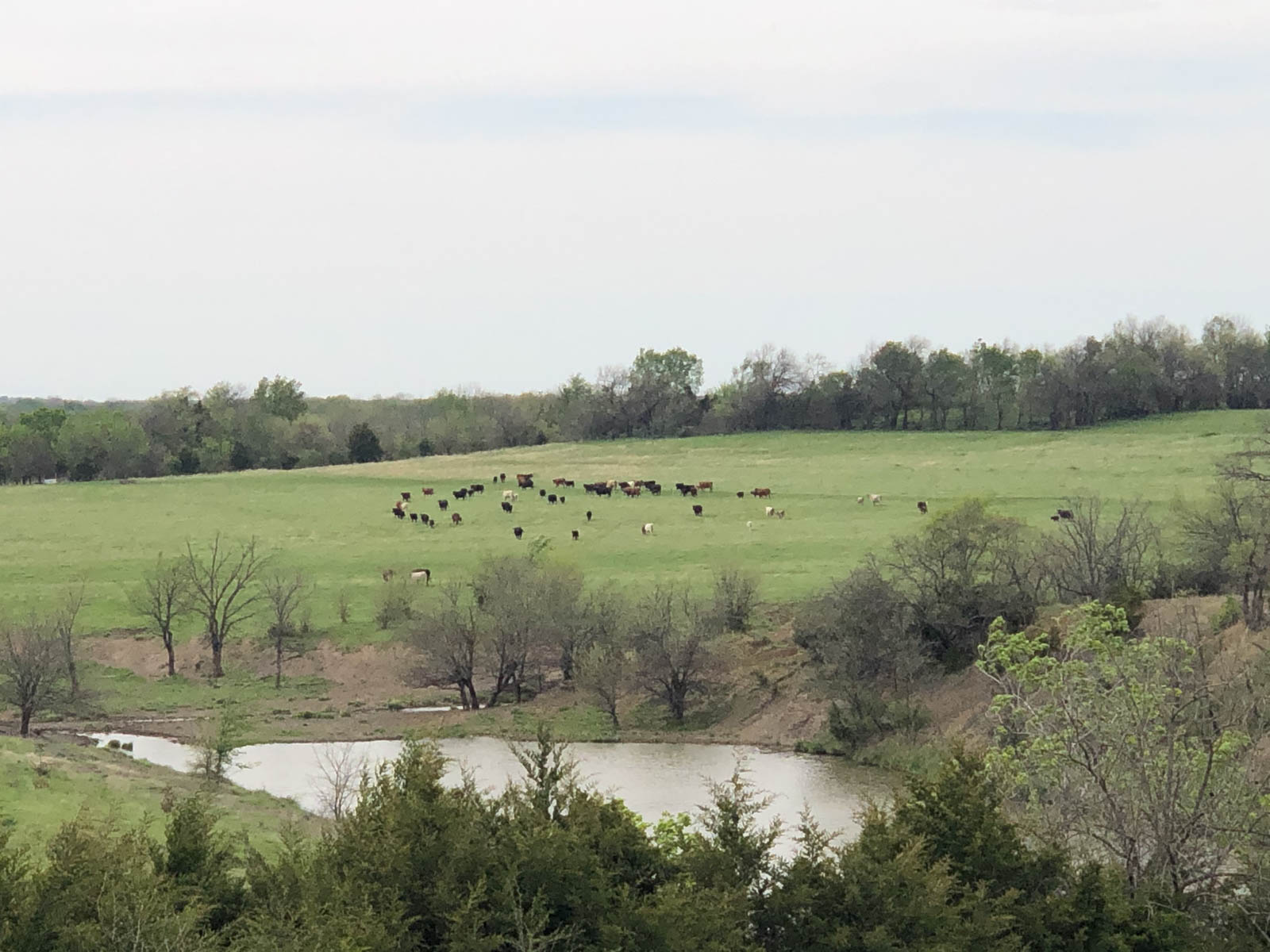 Barnes & Nettels B&N Ranch property picture 1 of 43