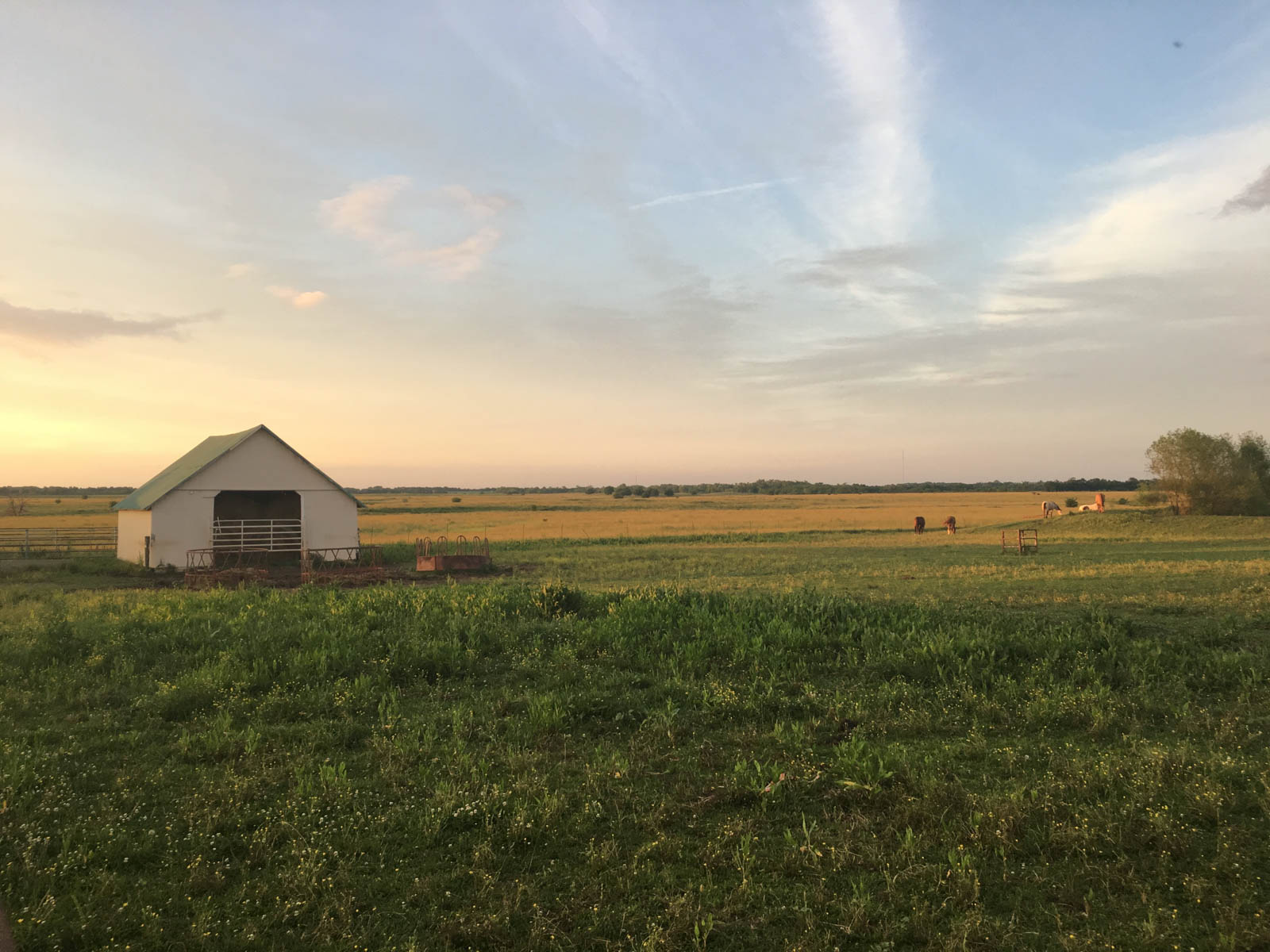 Barnes & Nettels B&N Ranch property picture 2 of 43