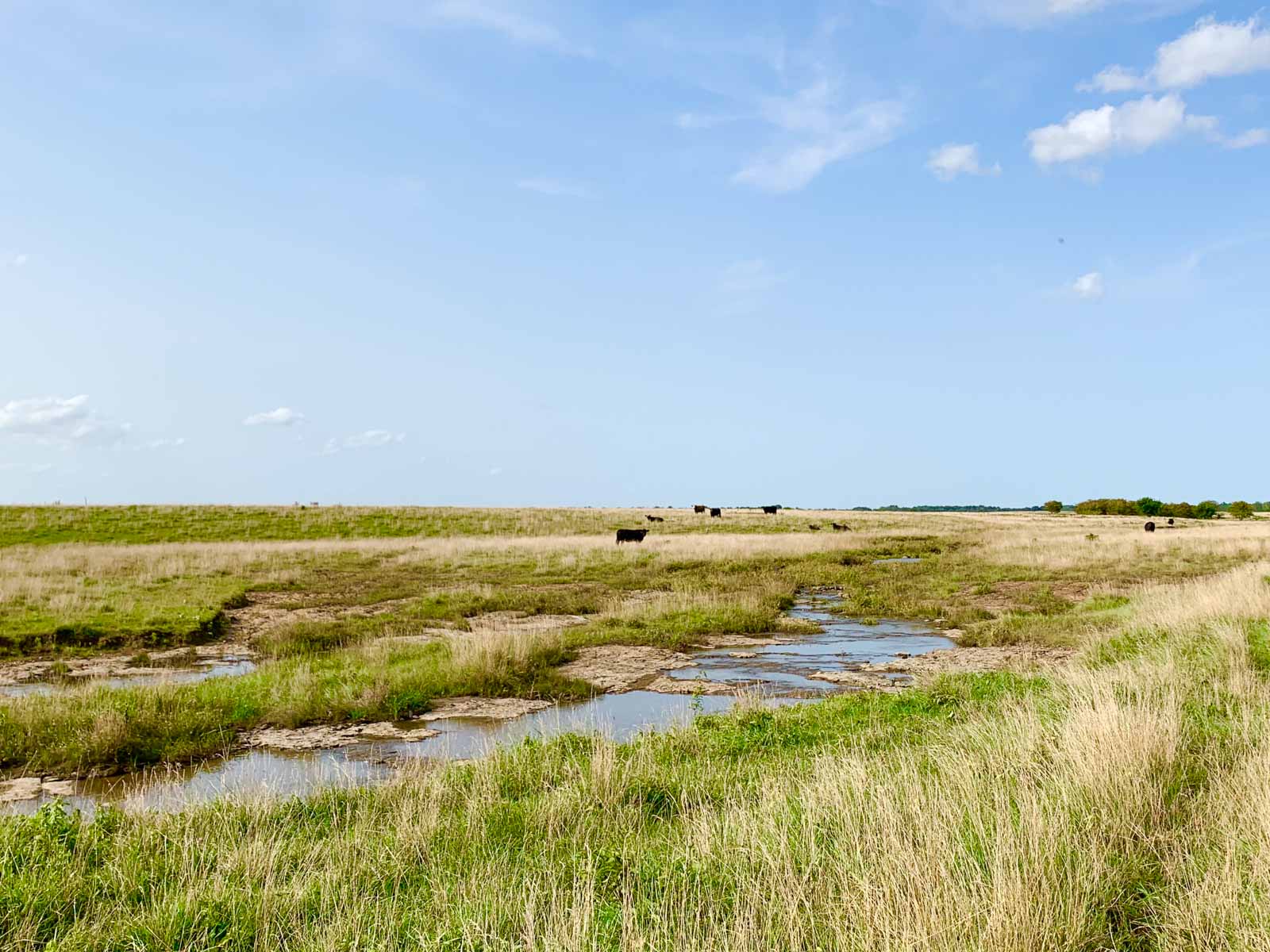 Barnes & Nettels B&N Ranch property picture 14 of 43
