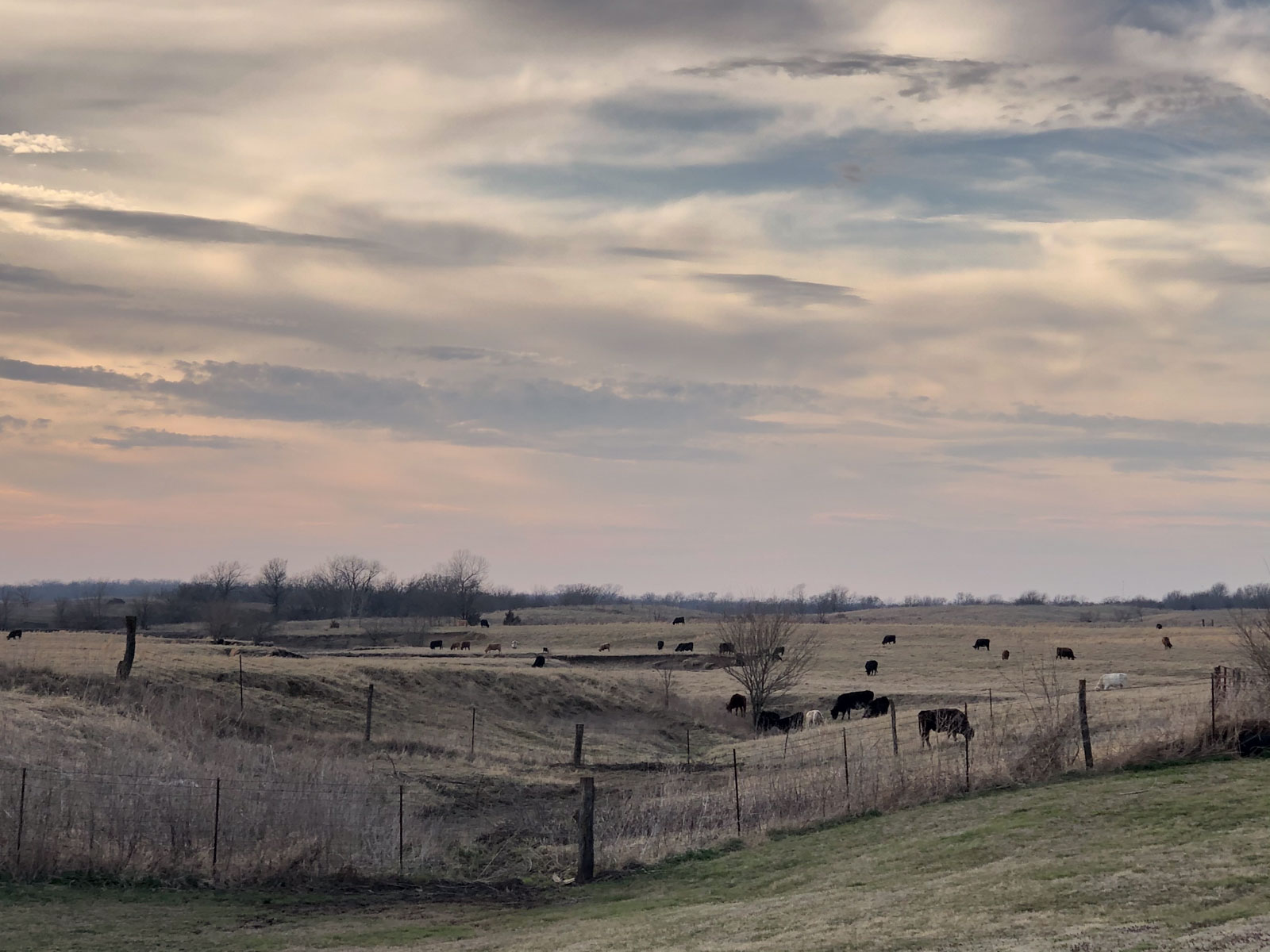 Barnes & Nettels B&N Ranch property picture 42 of 43