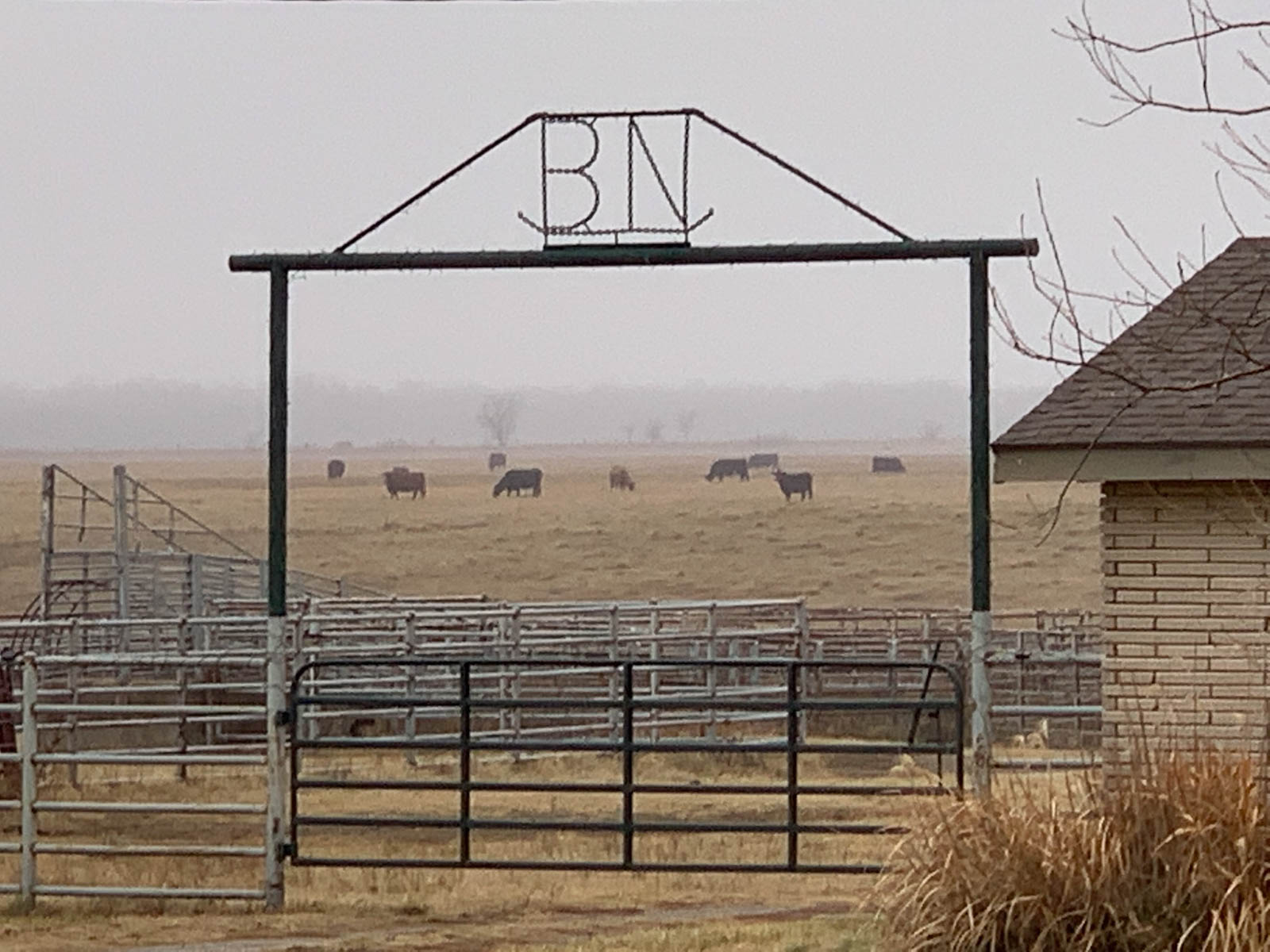 Barnes & Nettels B&N Ranch property picture 22 of 43