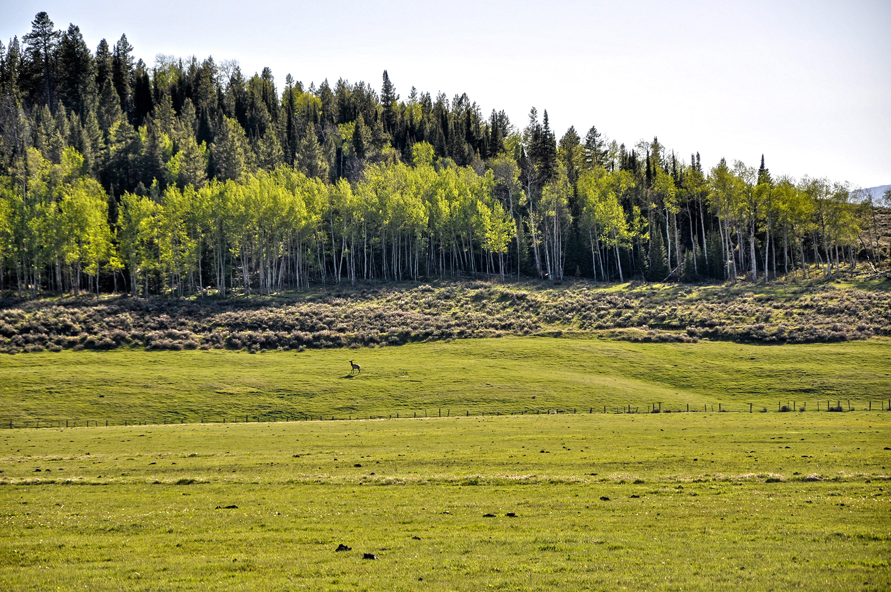 Hoback River Homestead property picture 33 of 56