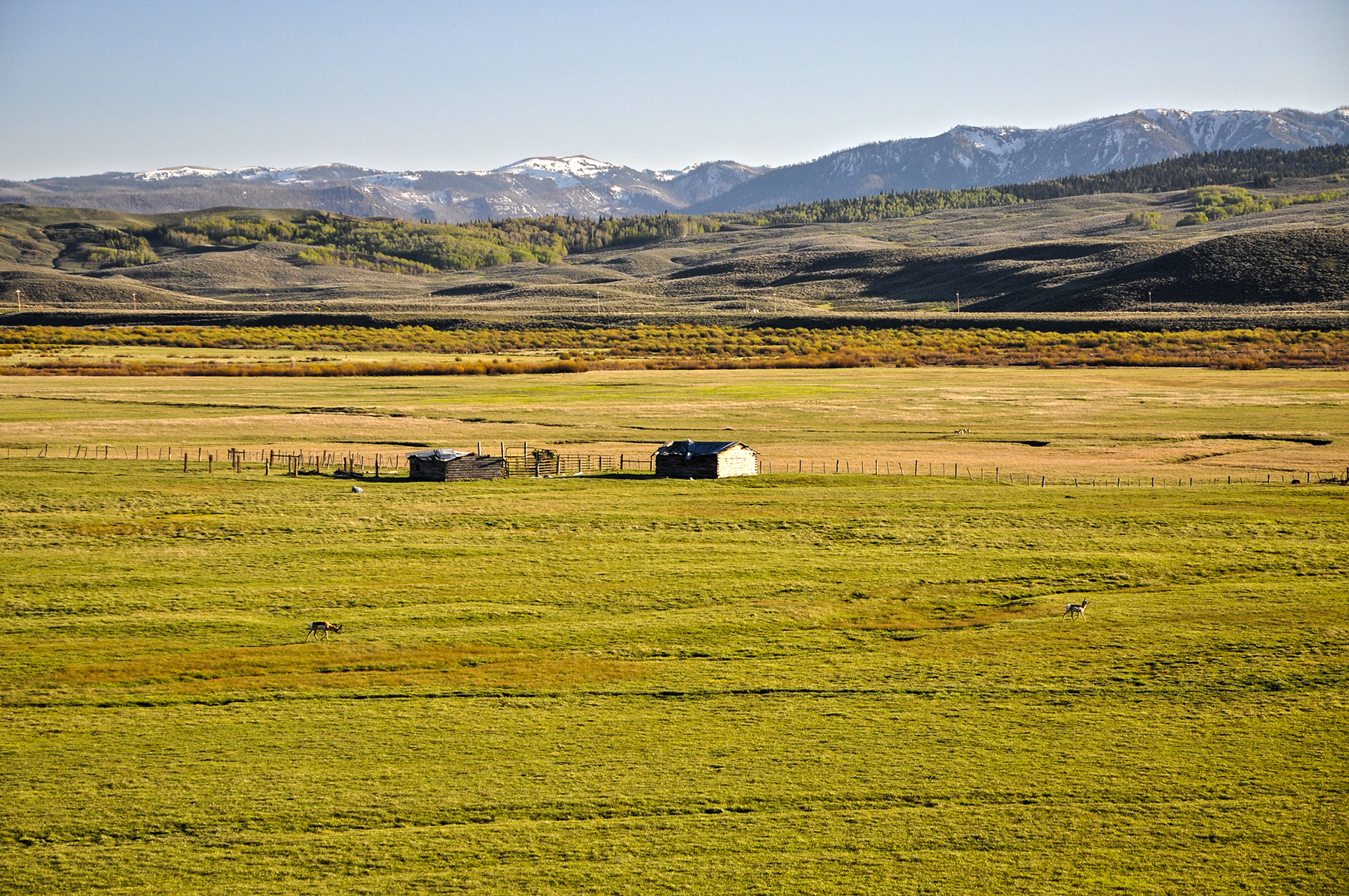 Hoback River Homestead property picture 46 of 56