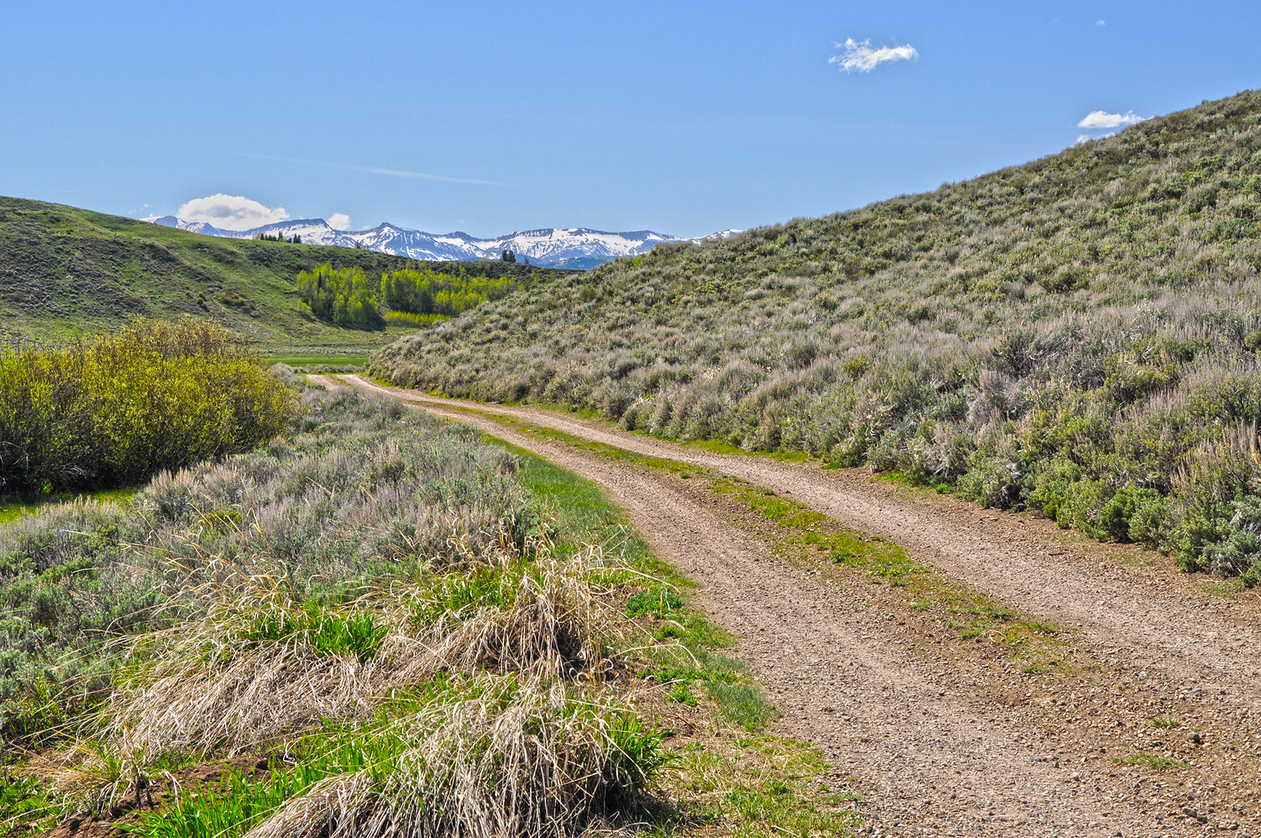 Hoback River Homestead property picture 43 of 56