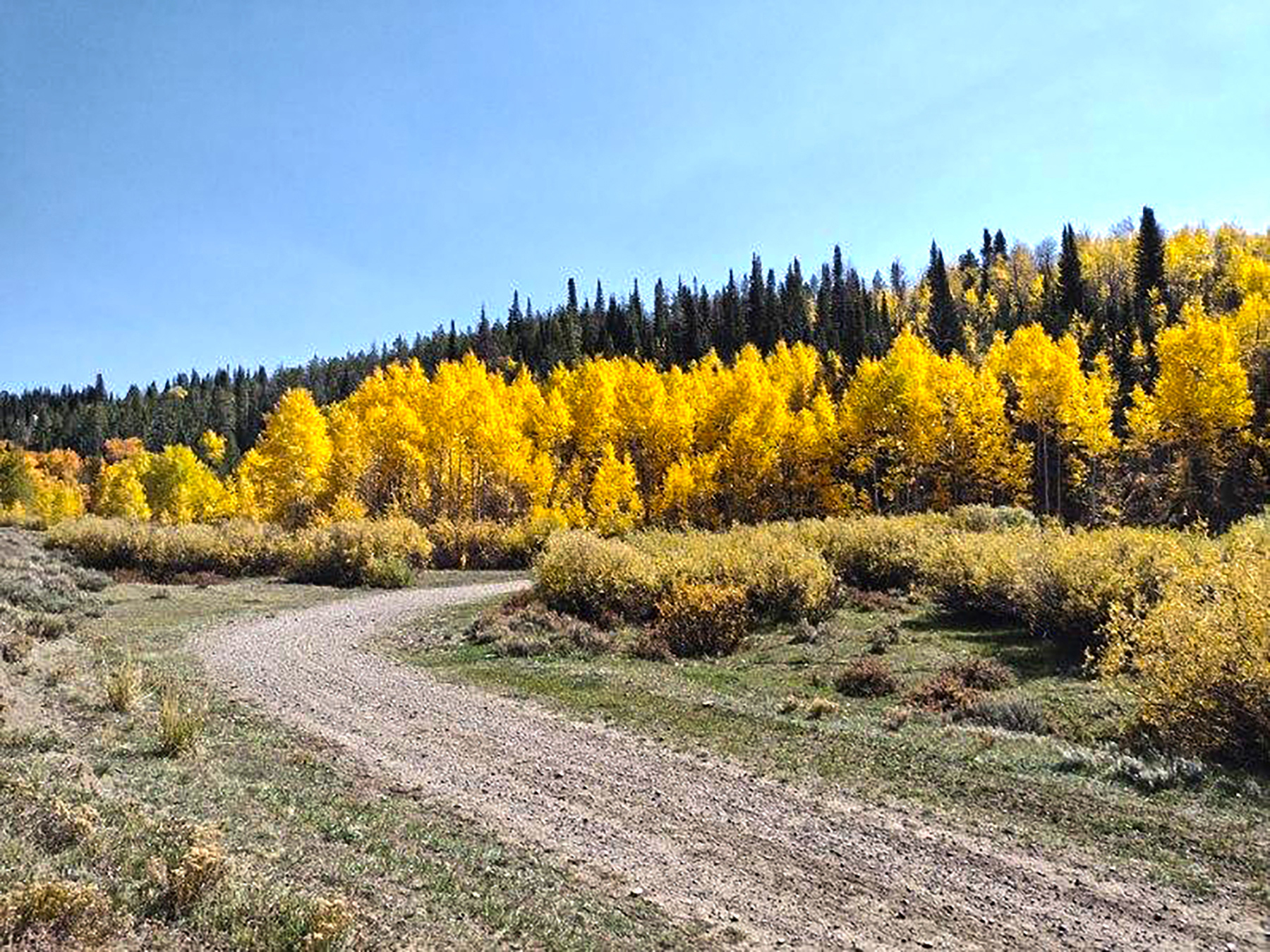 Hoback River Homestead property picture 32 of 56