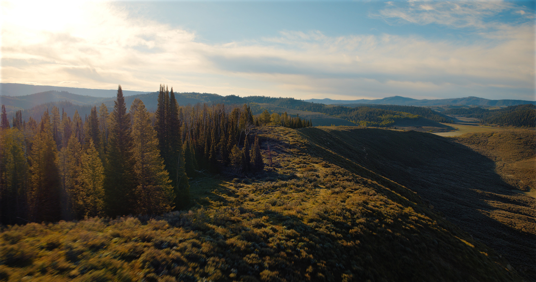 Hoback River Homestead property picture 53 of 56