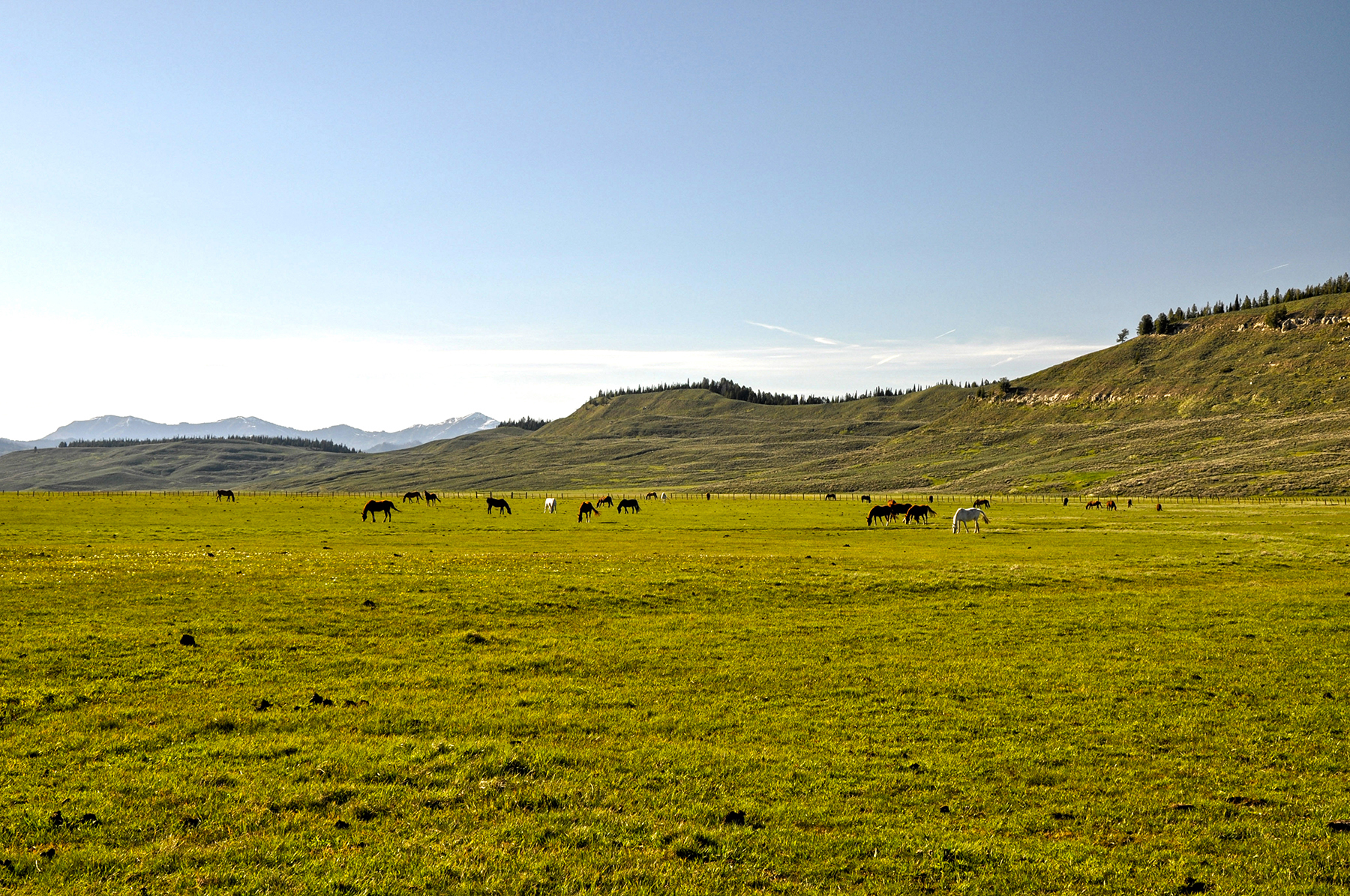 Hoback River Homestead property picture 34 of 56