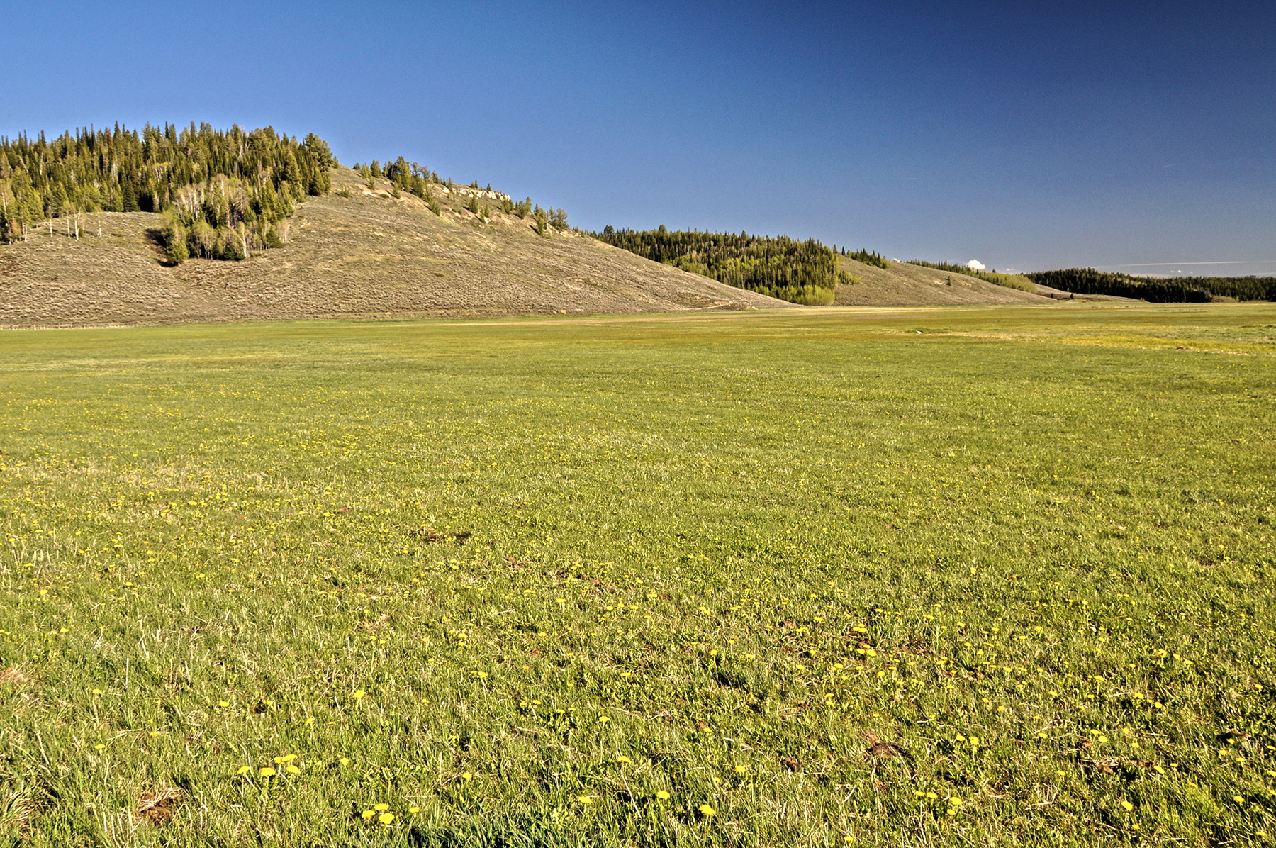 Hoback River Homestead property picture 45 of 56