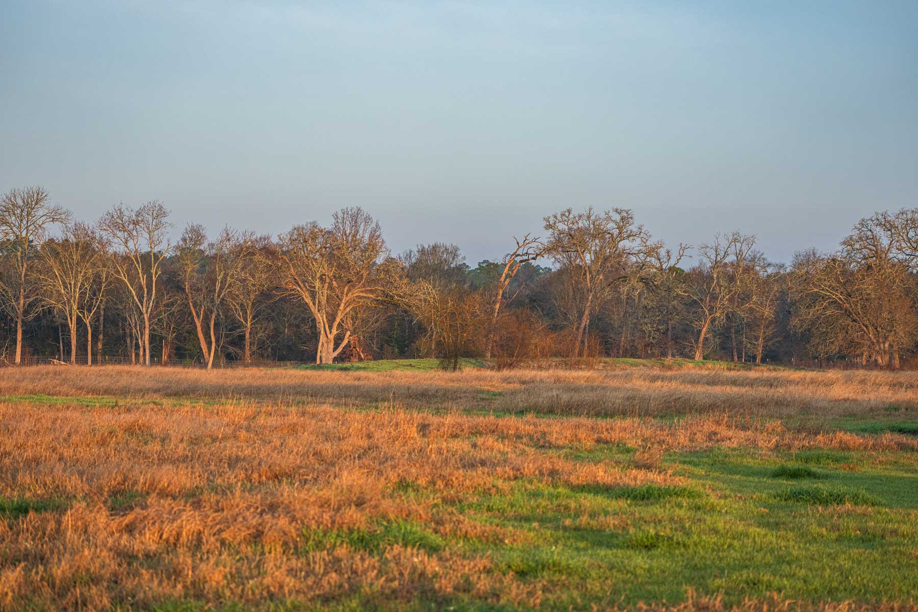 Huntsville 50 Ranch property picture 34 of 35