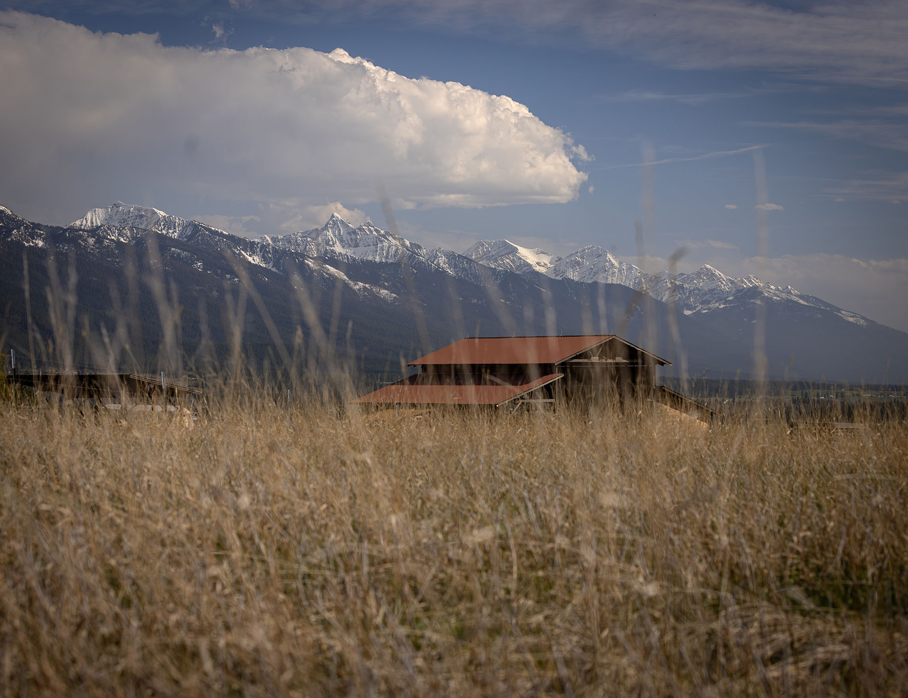 Mission Mountain Ranch property picture 31 of 42