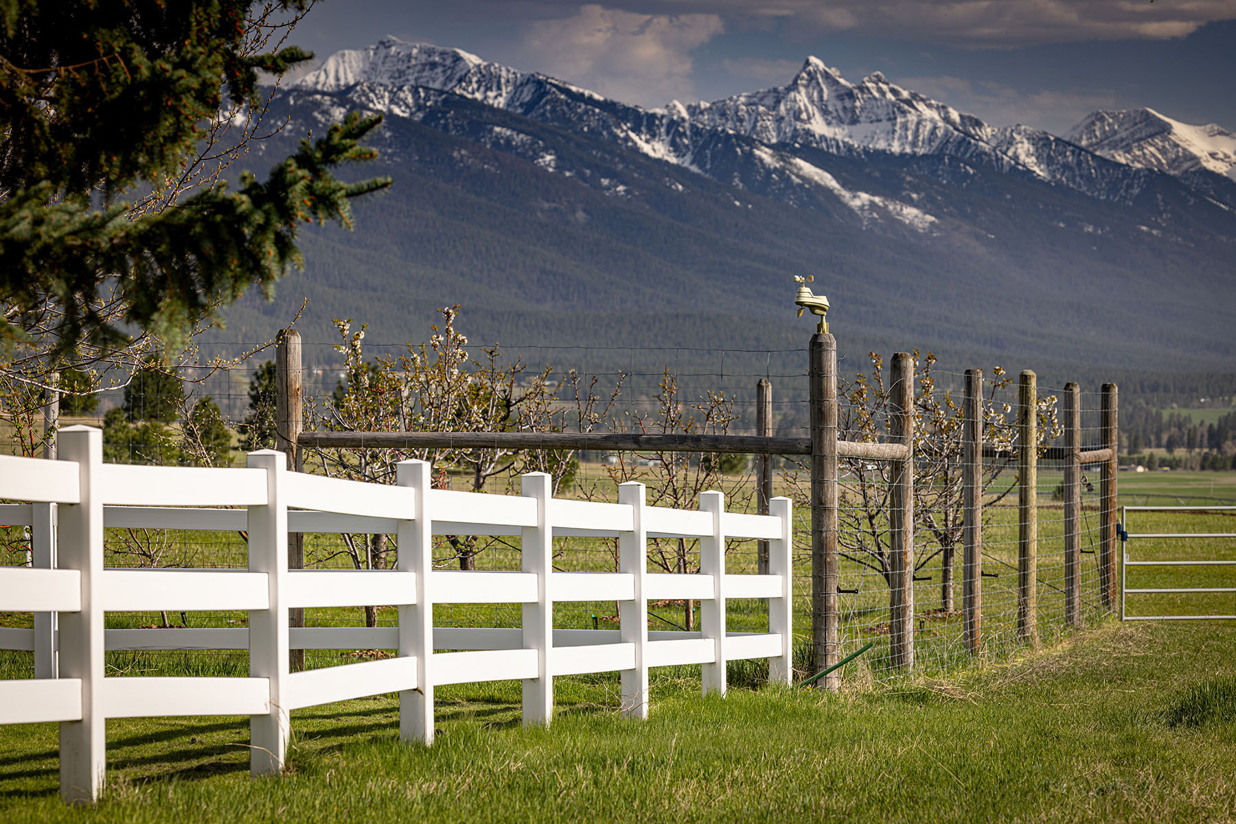 Mission Mountain Ranch property picture 39 of 42