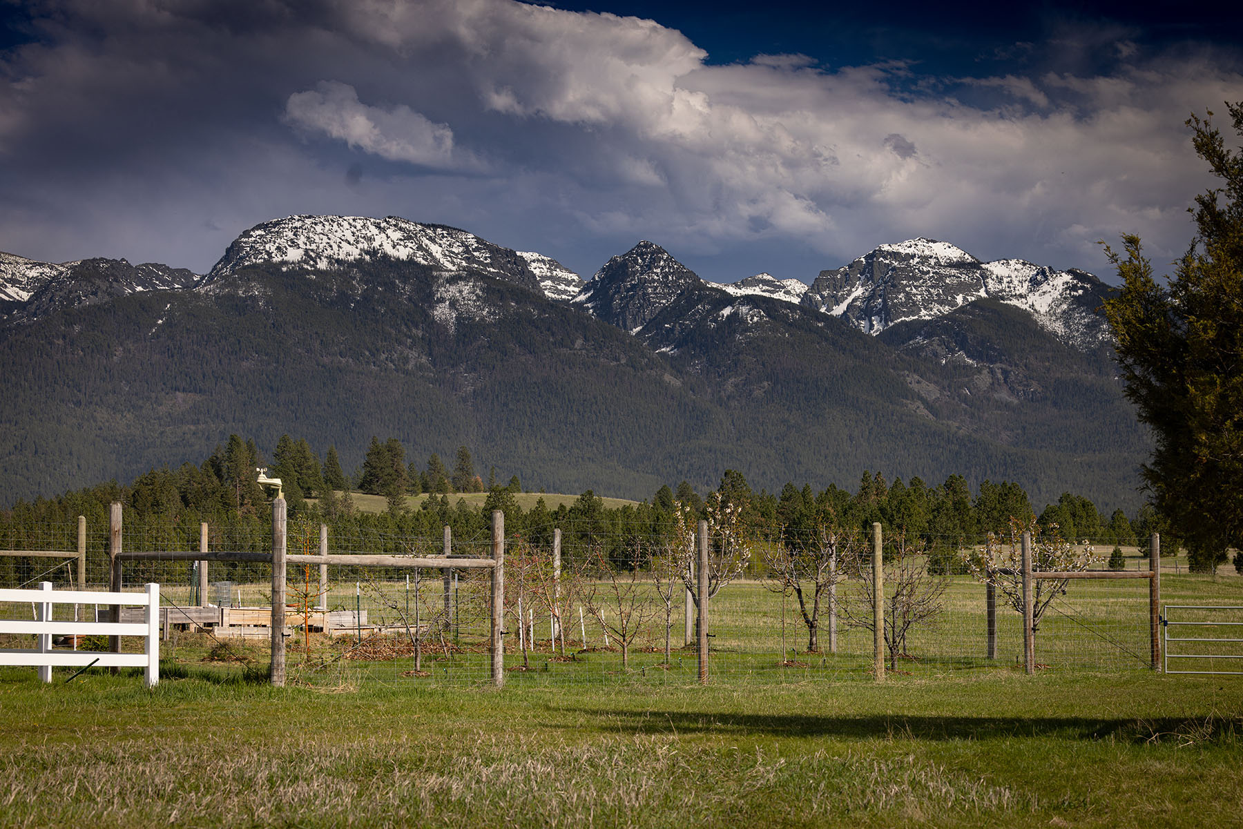 Mission Mountain Ranch property picture 38 of 42