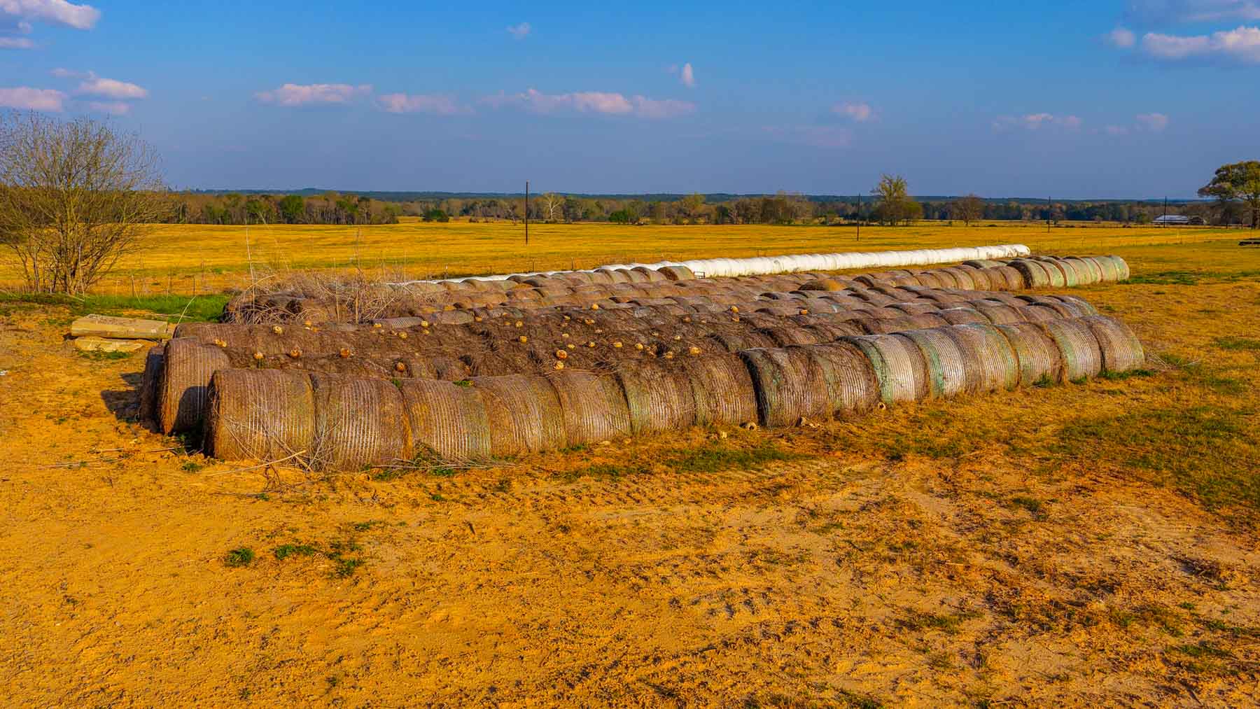 Big Valley Ranch property picture 13 of 75