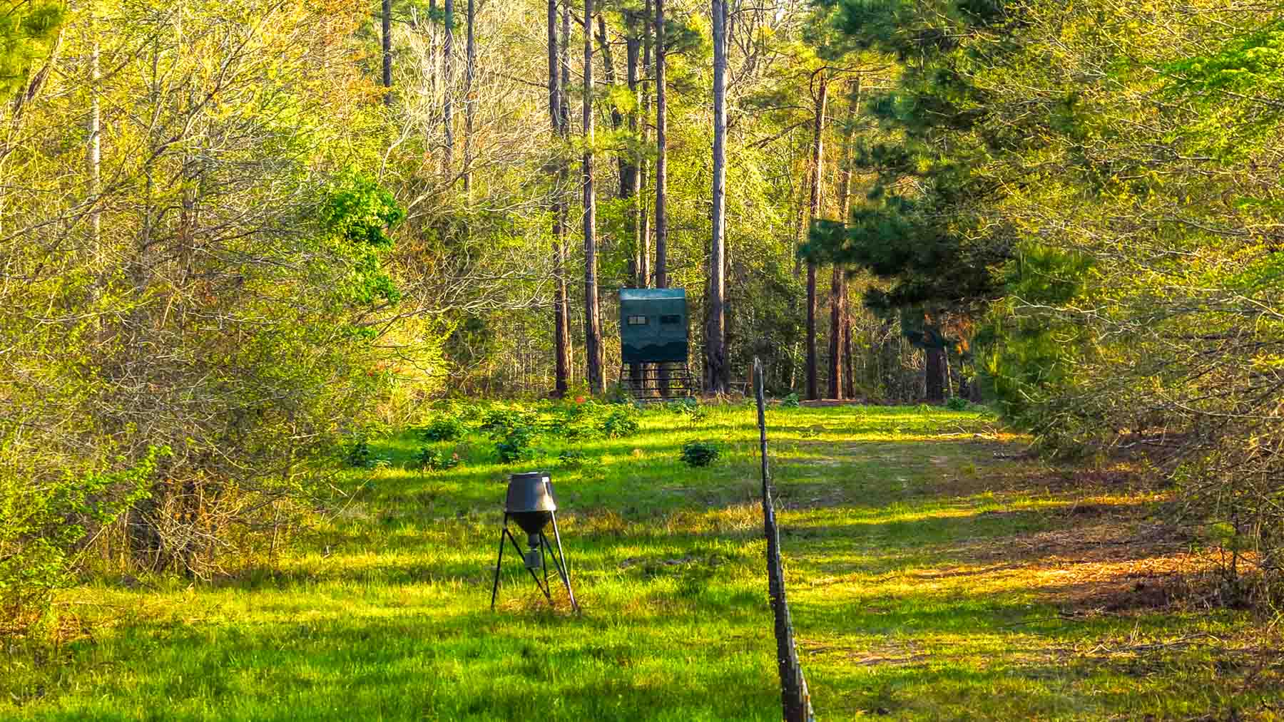 Big Valley Ranch property picture 17 of 75