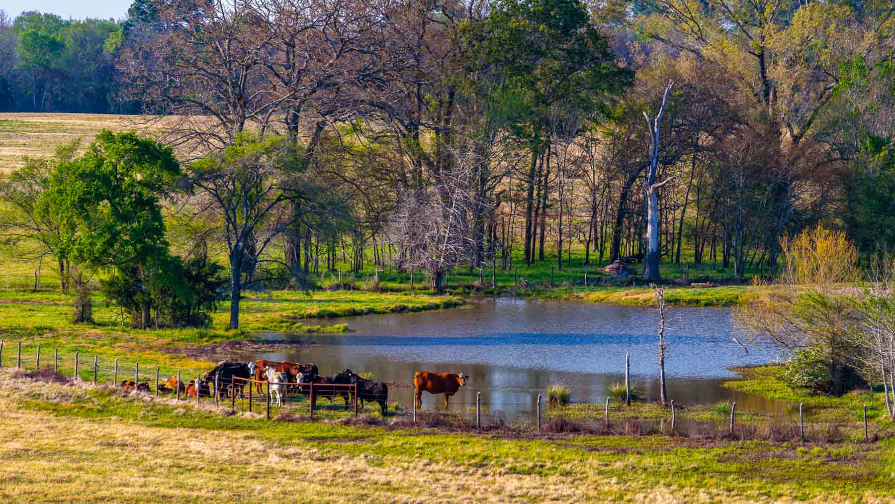 Big Valley Ranch property picture 19 of 75