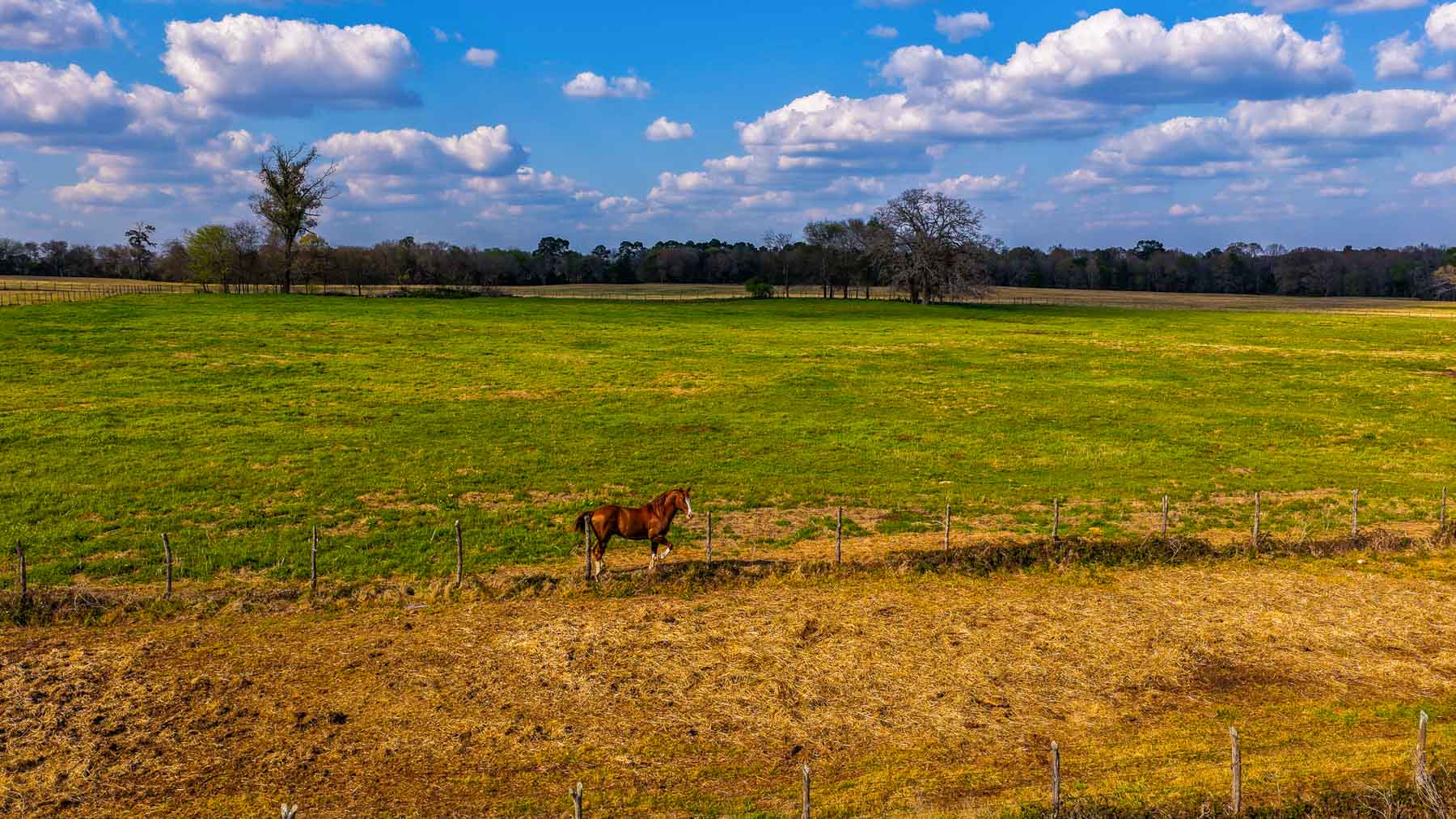 Big Valley Ranch property picture 49 of 75