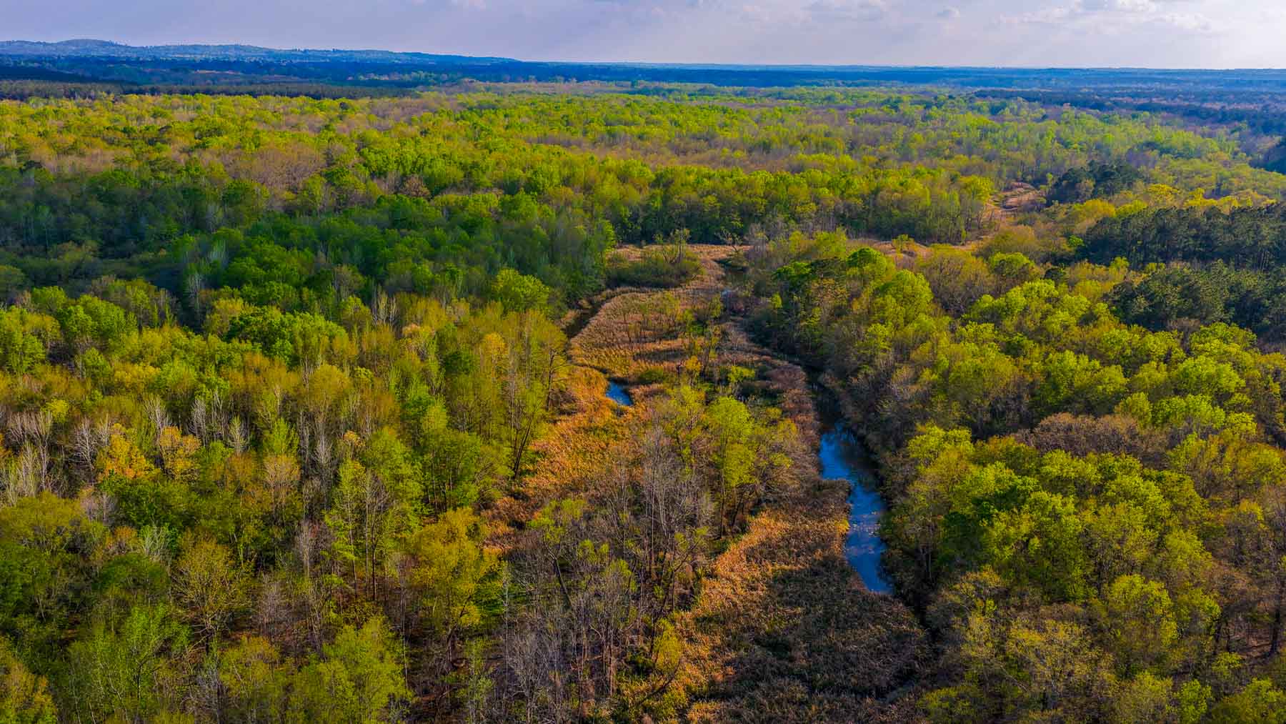 Big Valley Ranch property picture 62 of 75