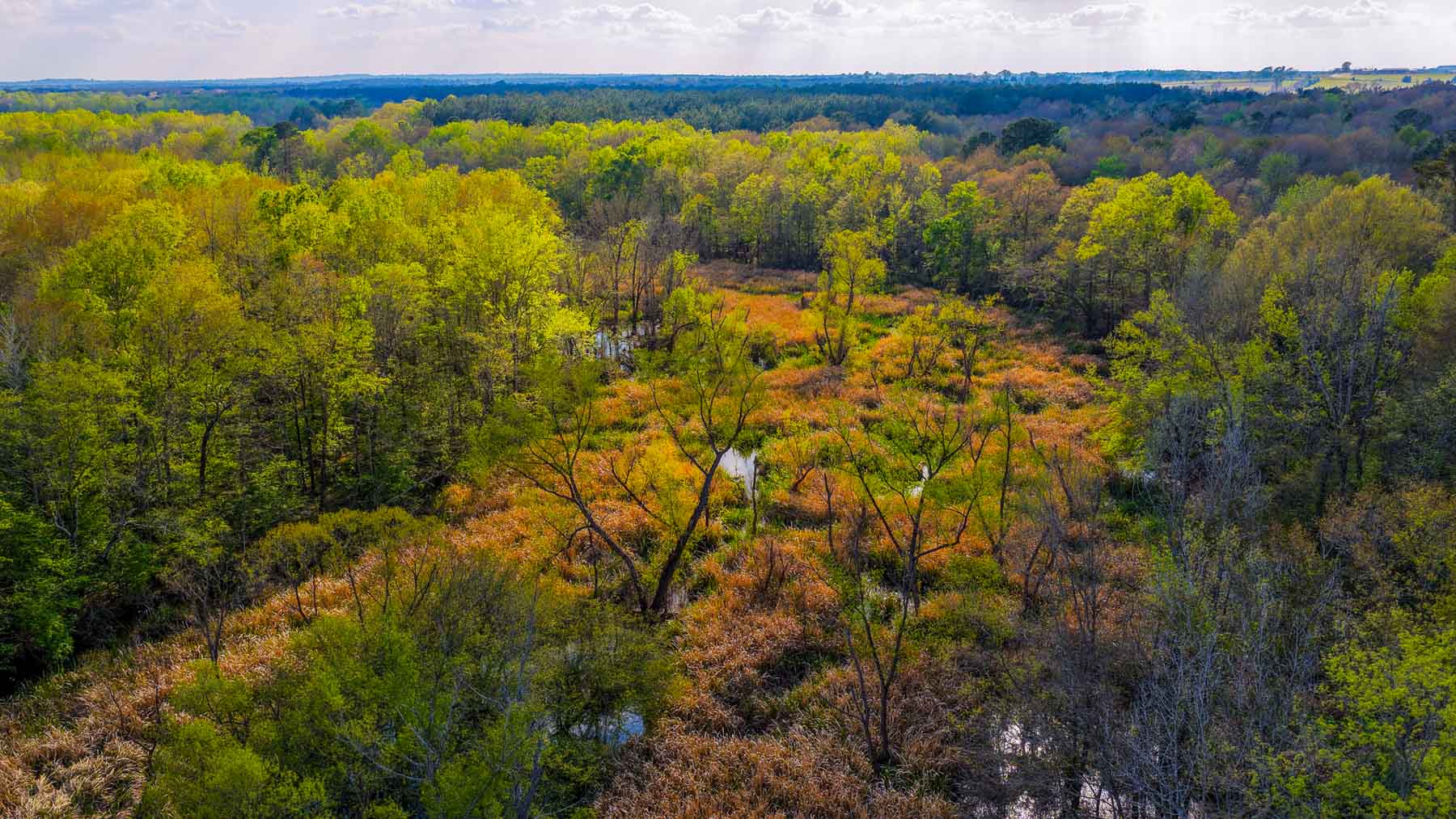 Big Valley Ranch property picture 54 of 75