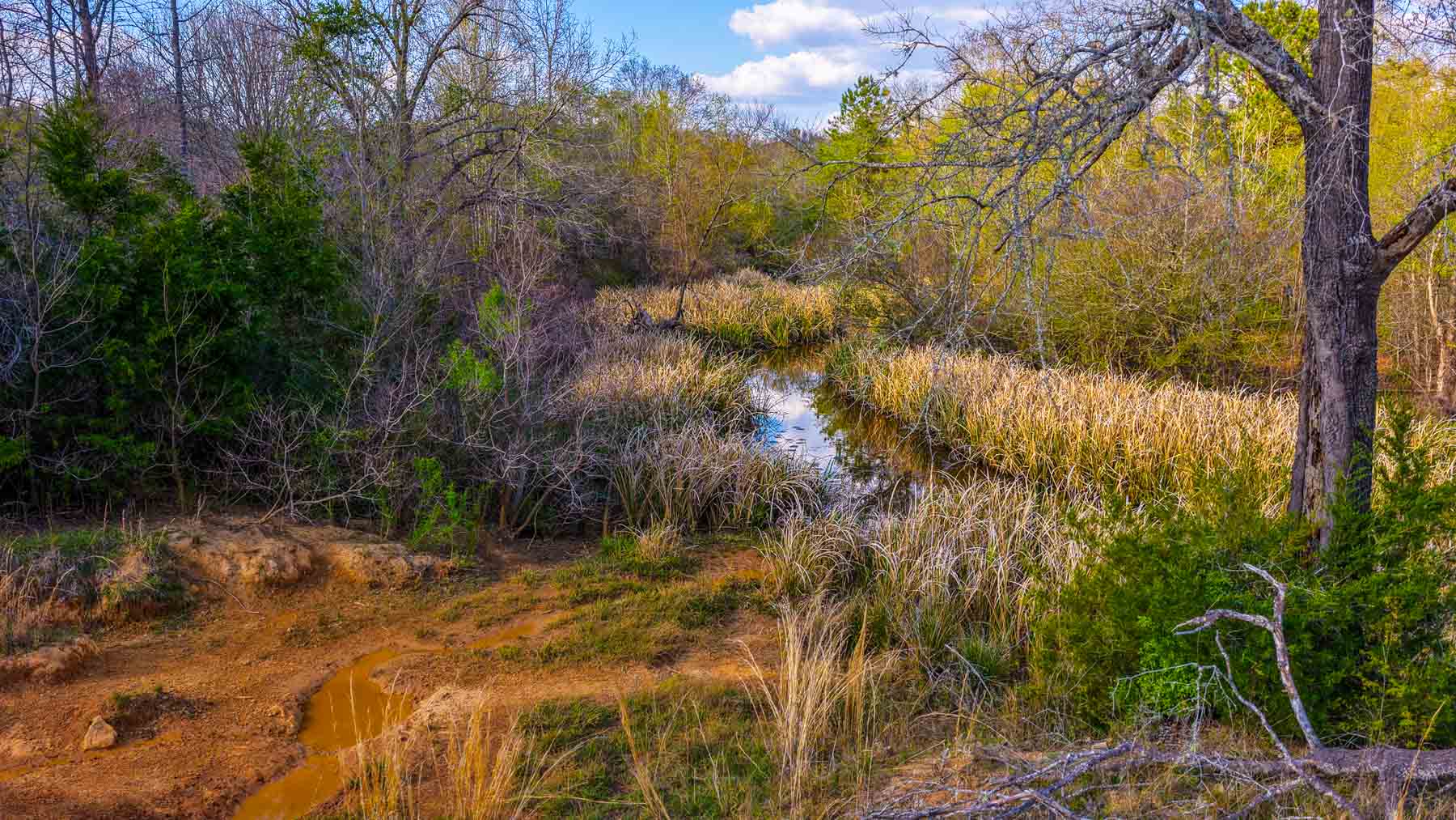 Big Valley Ranch property picture 58 of 75