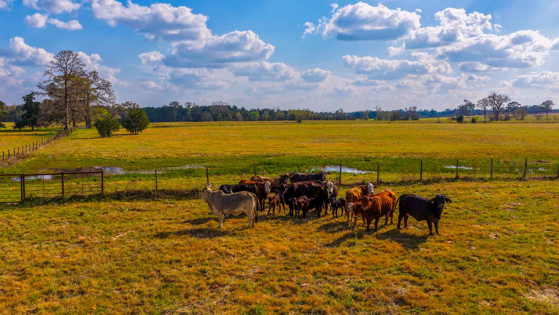 Big Valley Ranch property picture 12 of 75