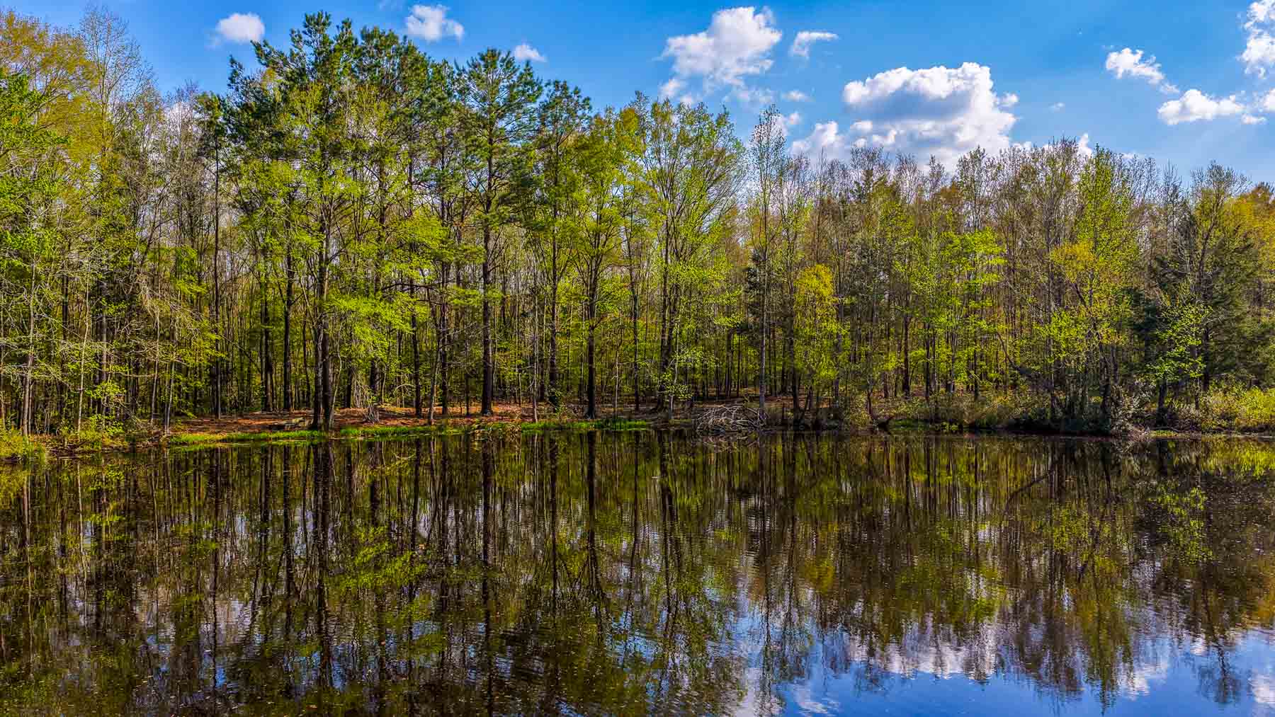 Big Valley Ranch property picture 14 of 75