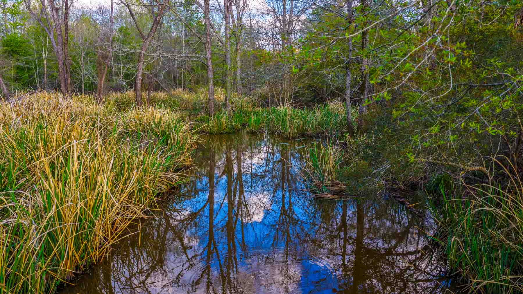 Big Valley Ranch property picture 59 of 75