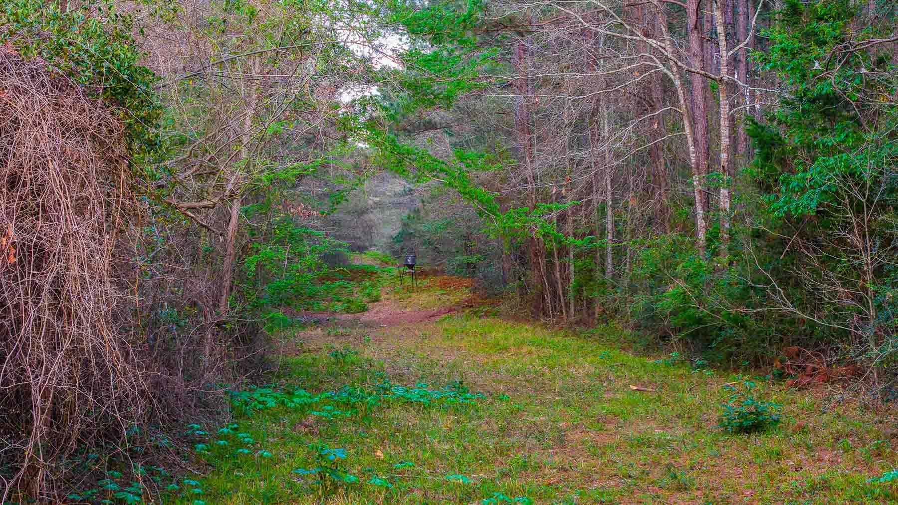 Big Valley Ranch property picture 67 of 75