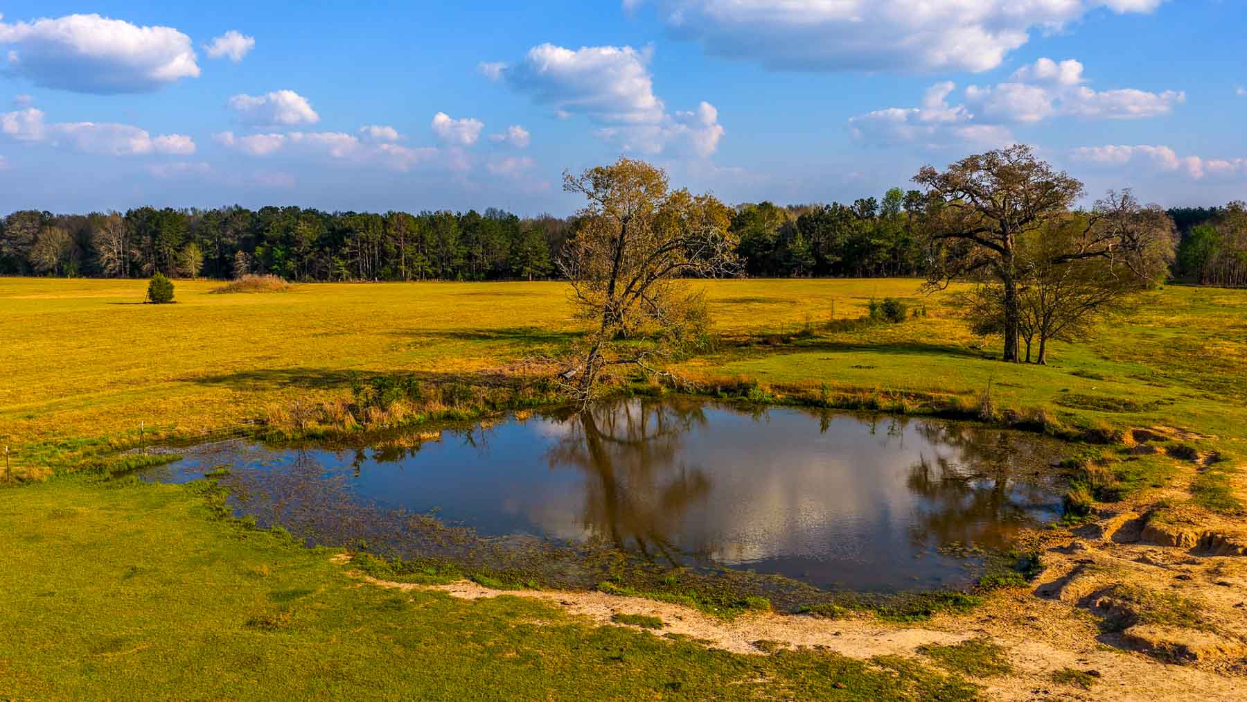 Big Valley Ranch property picture 64 of 75