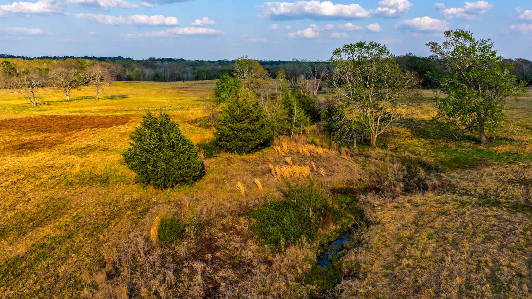 Big Valley Ranch property picture 65 of 75