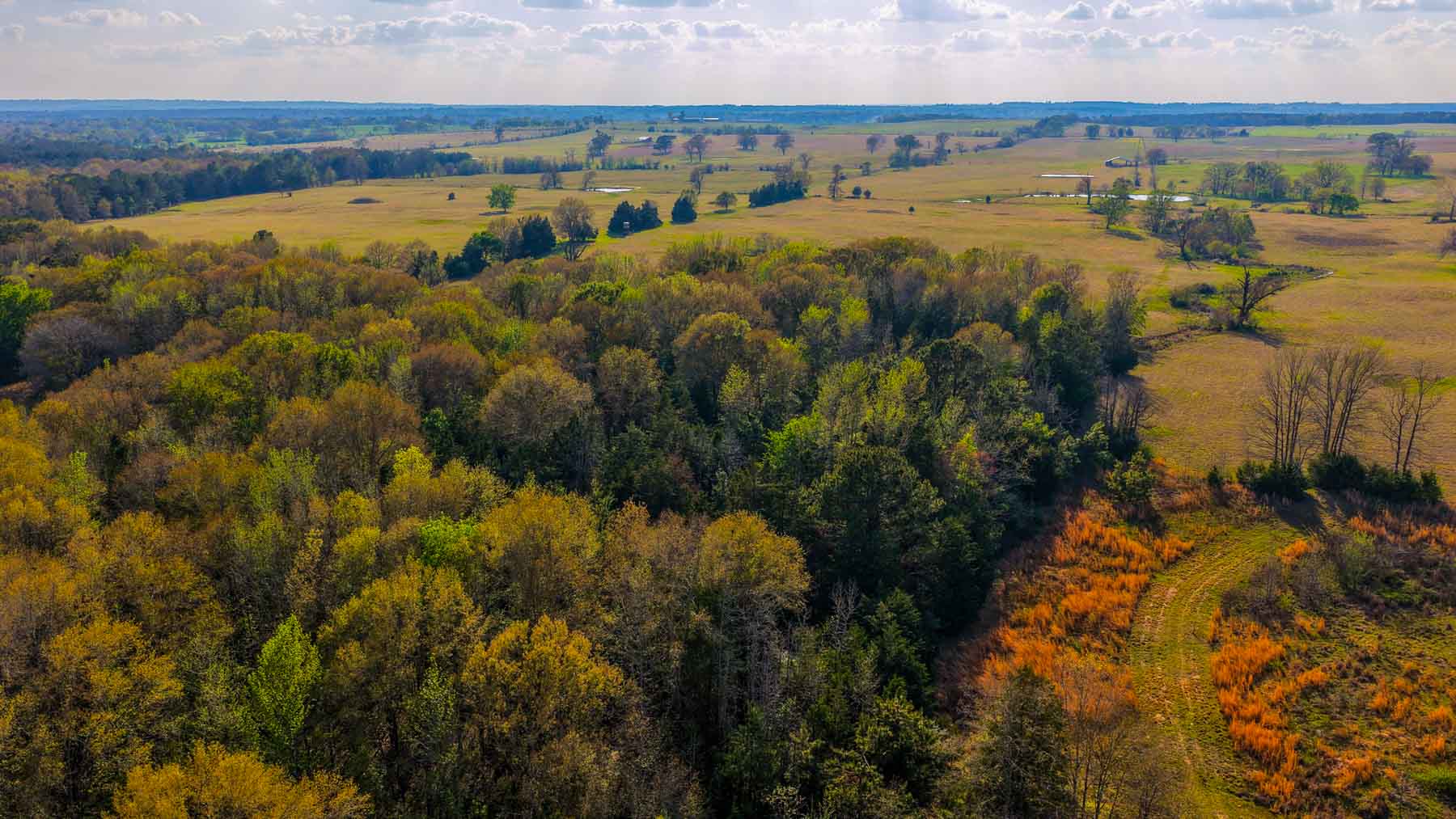 Big Valley Ranch property picture 60 of 75