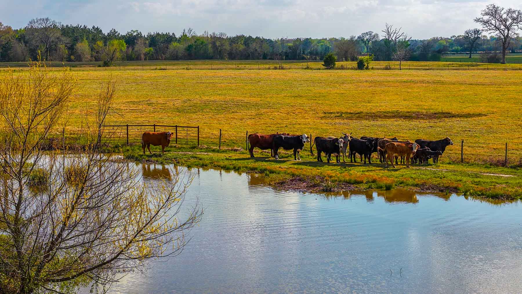 Big Valley Ranch property picture 51 of 75