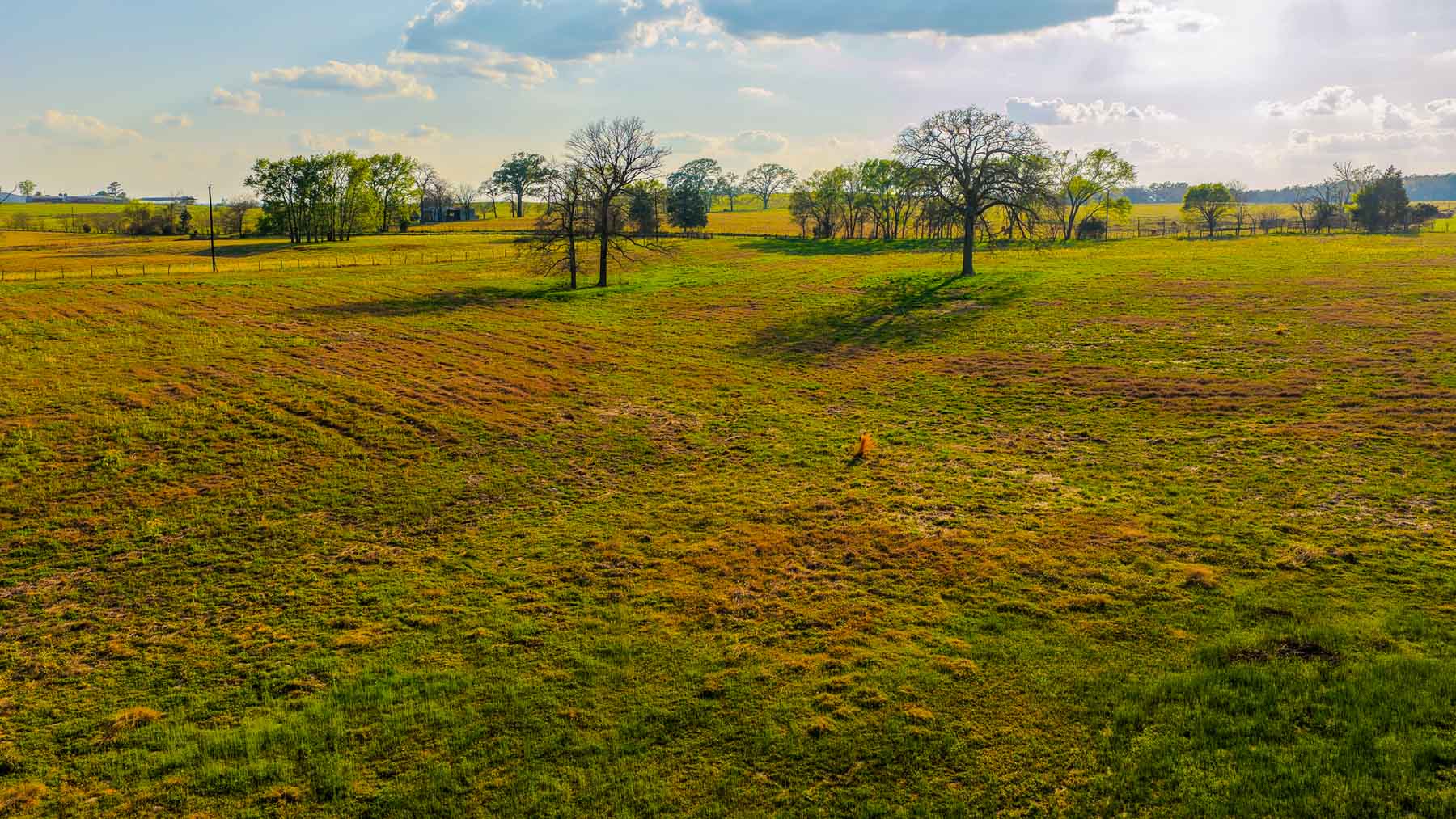 Big Valley Ranch property picture 74 of 75