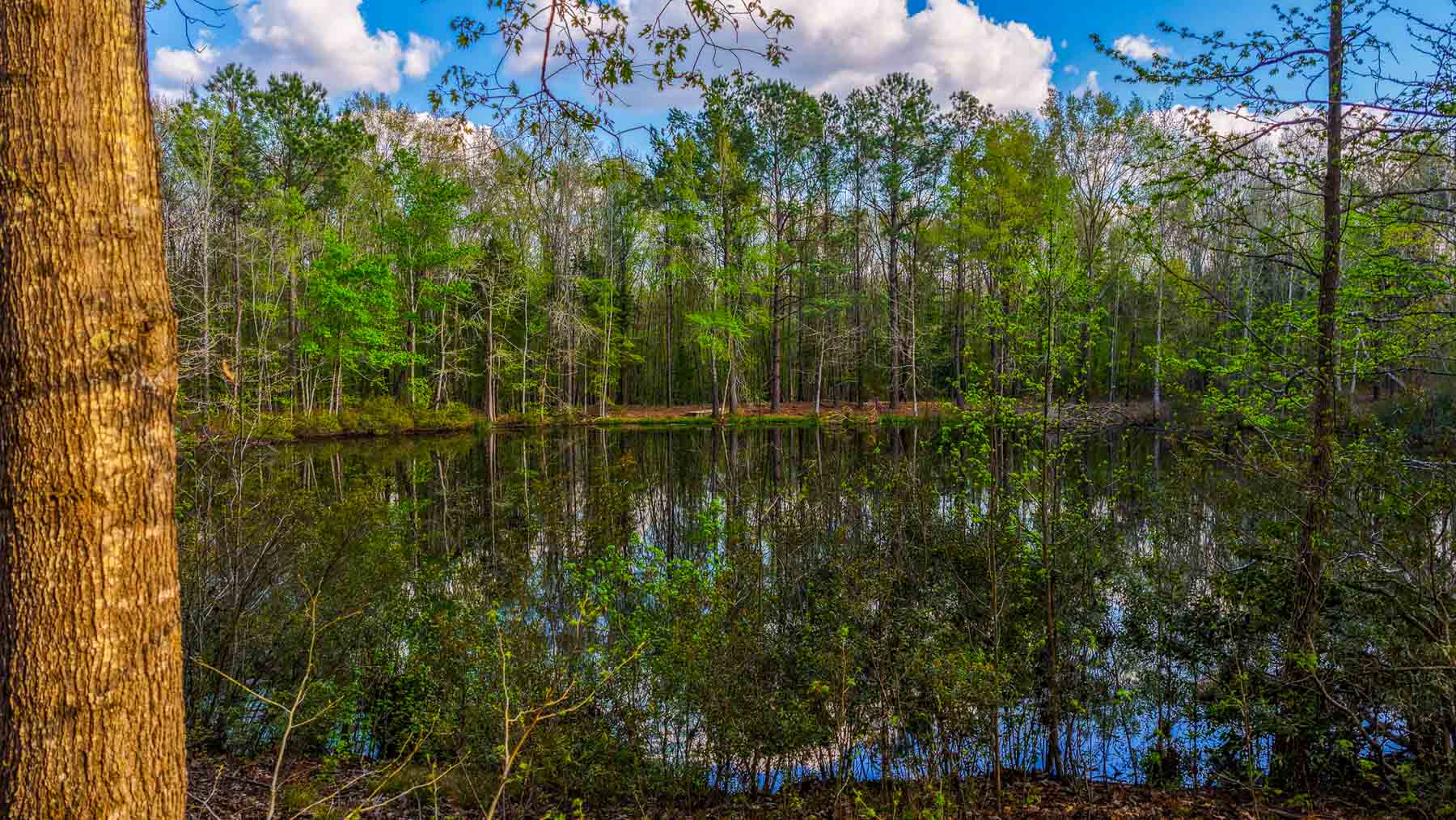 Big Valley Ranch property picture 56 of 75