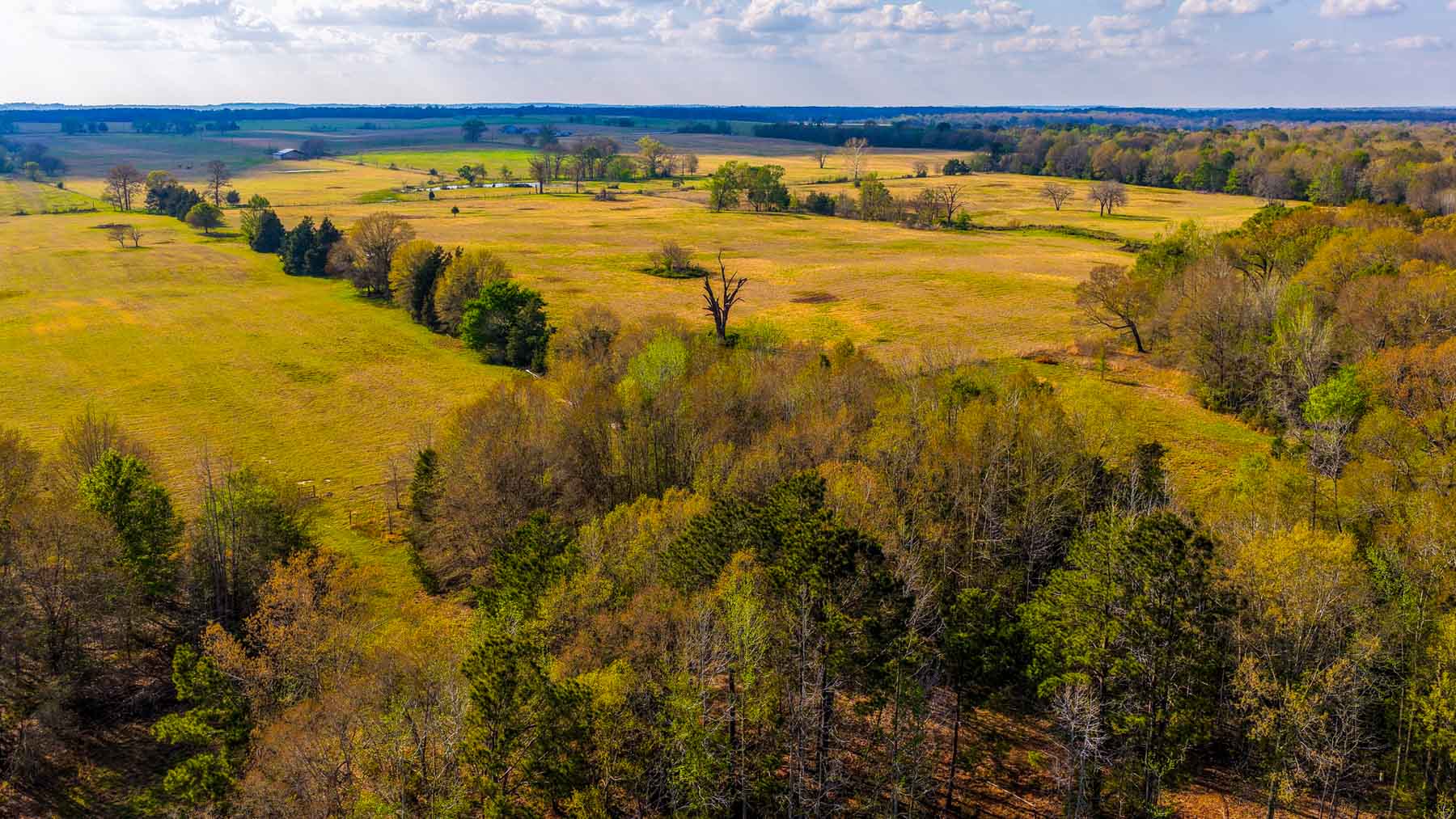 Big Valley Ranch property picture 53 of 75