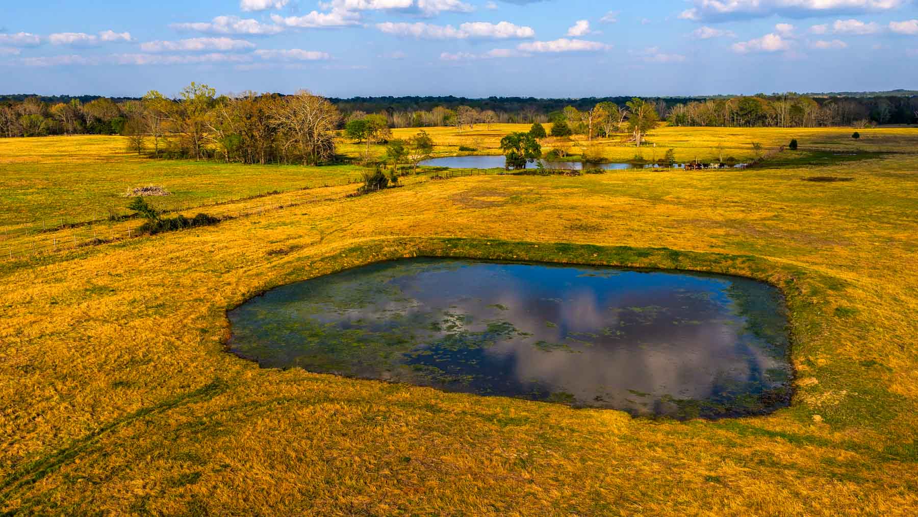 Big Valley Ranch property picture 73 of 75