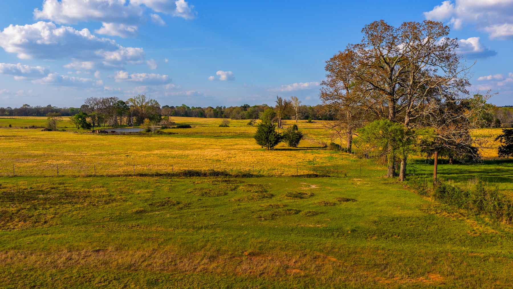 Big Valley Ranch property picture 18 of 75