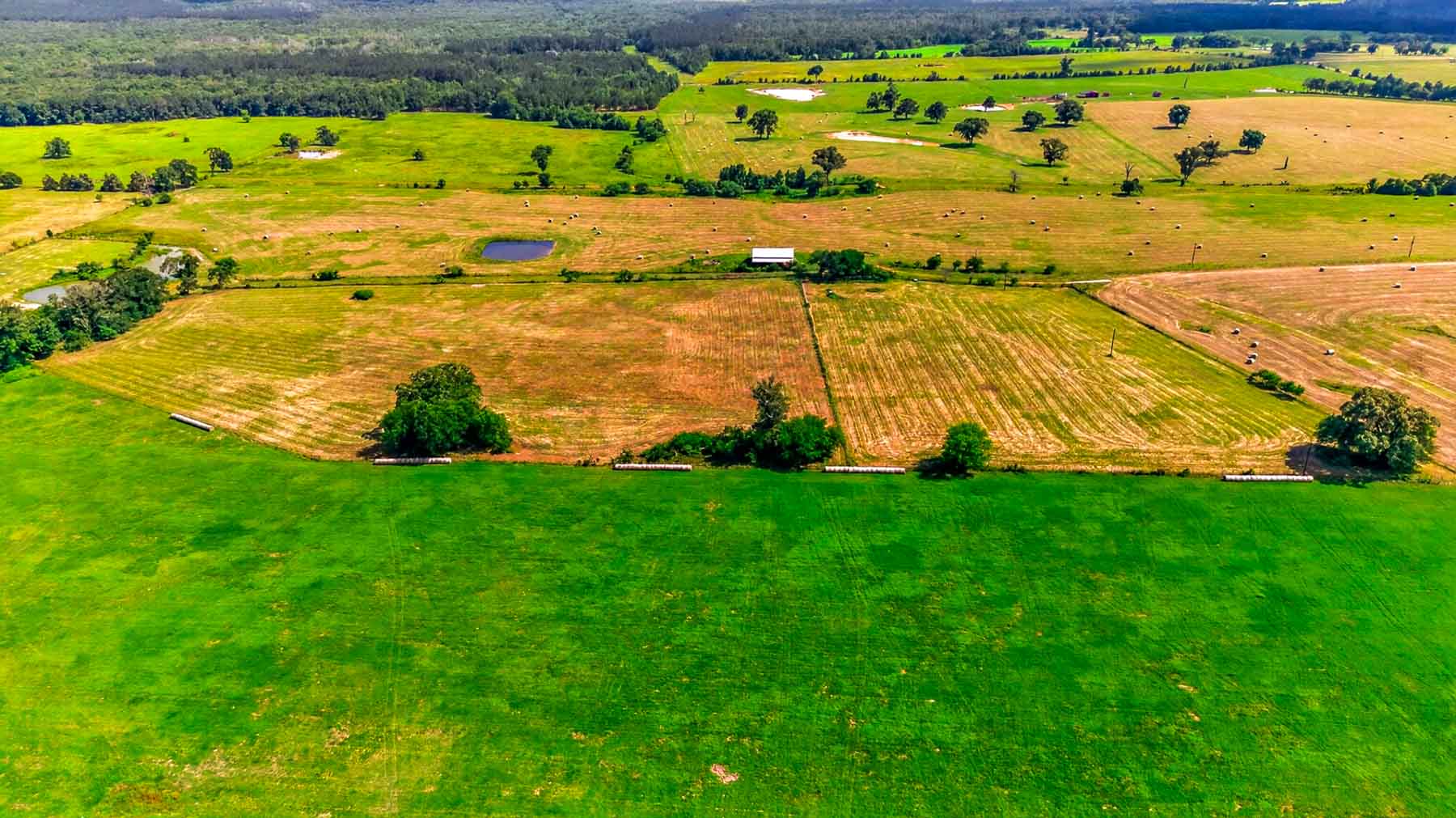 Big Valley Ranch property picture 70 of 75