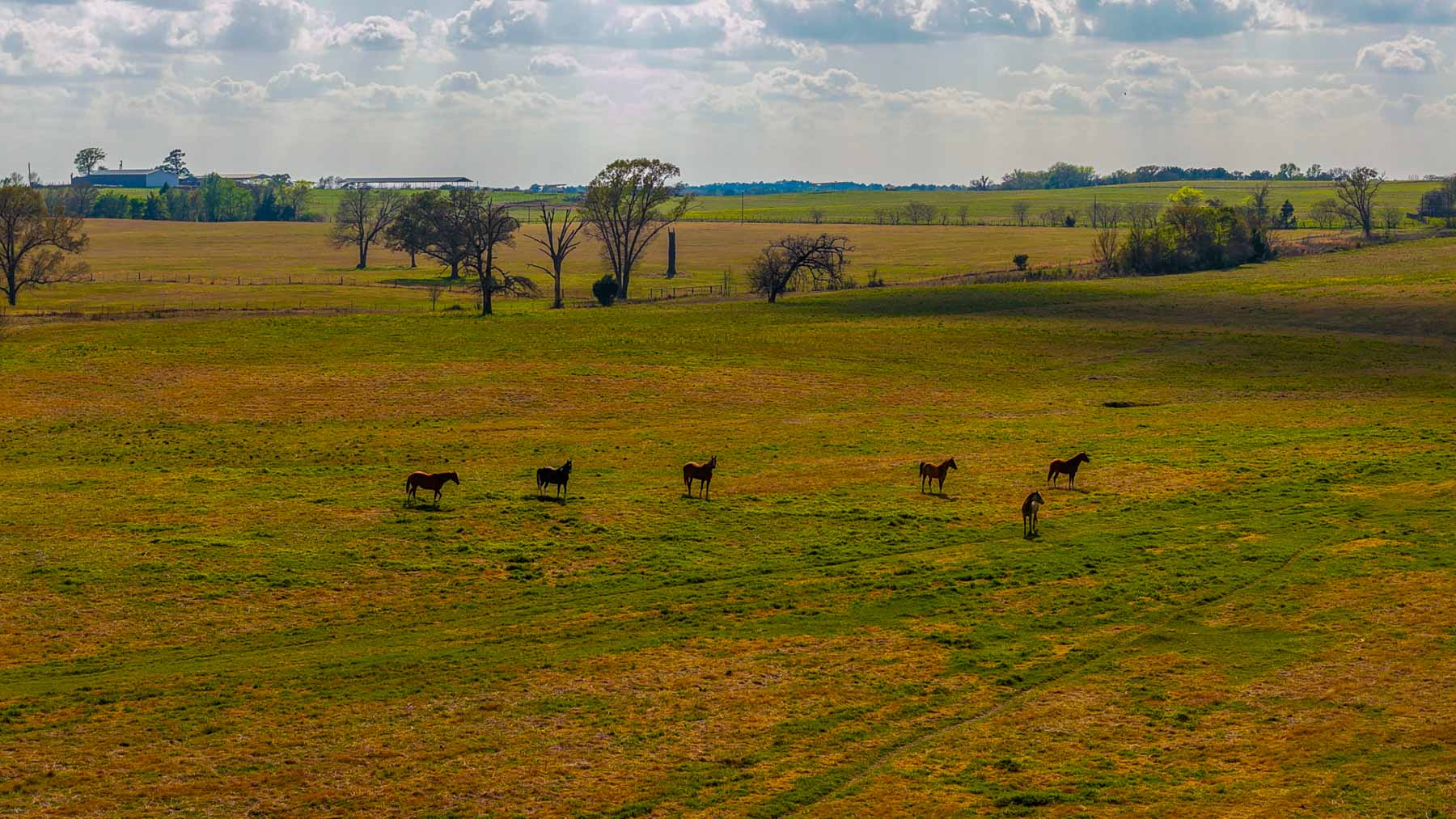 Big Valley Ranch property picture 9 of 75
