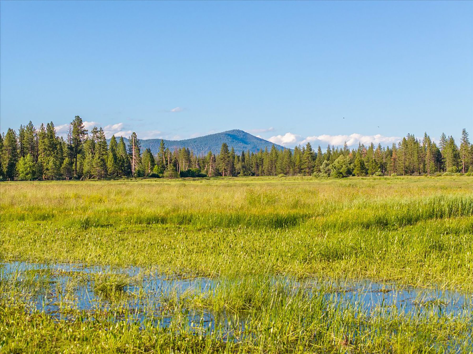 Black Ranch property picture 94 of 104