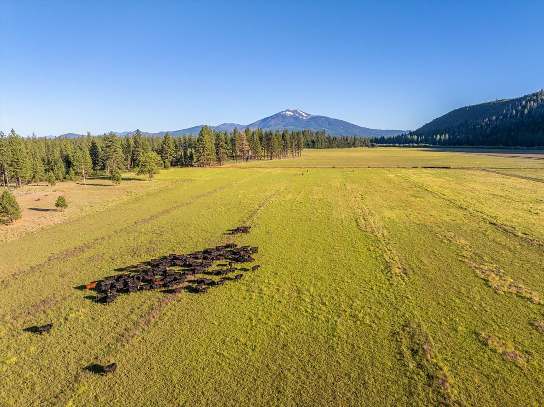 Black Ranch property picture 4 of 104