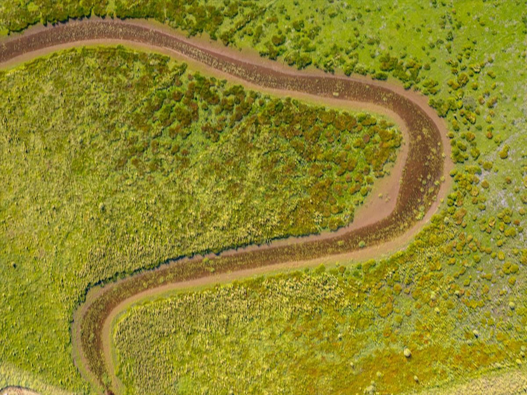 Black Ranch property picture 90 of 104