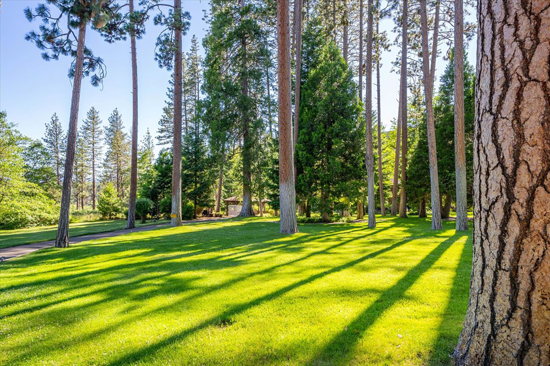 Black Ranch property picture 89 of 104