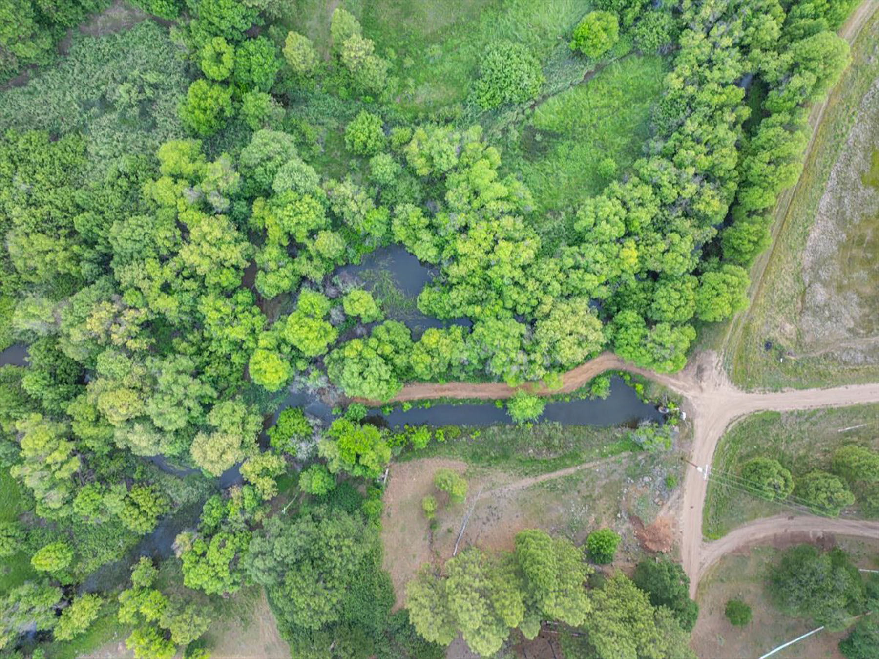 Black Ranch property picture 91 of 104