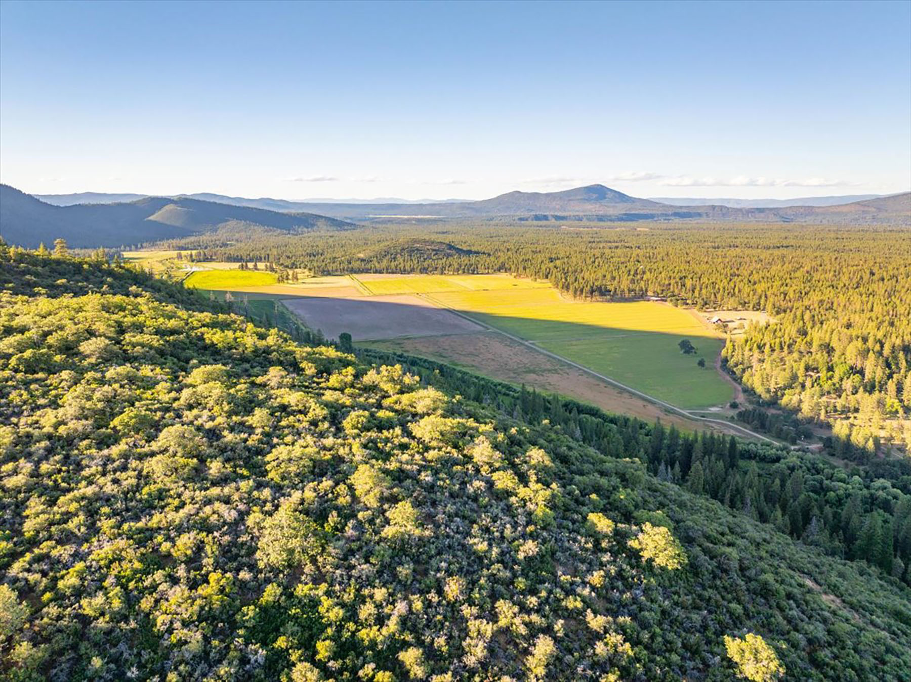 Black Ranch property picture 6 of 104
