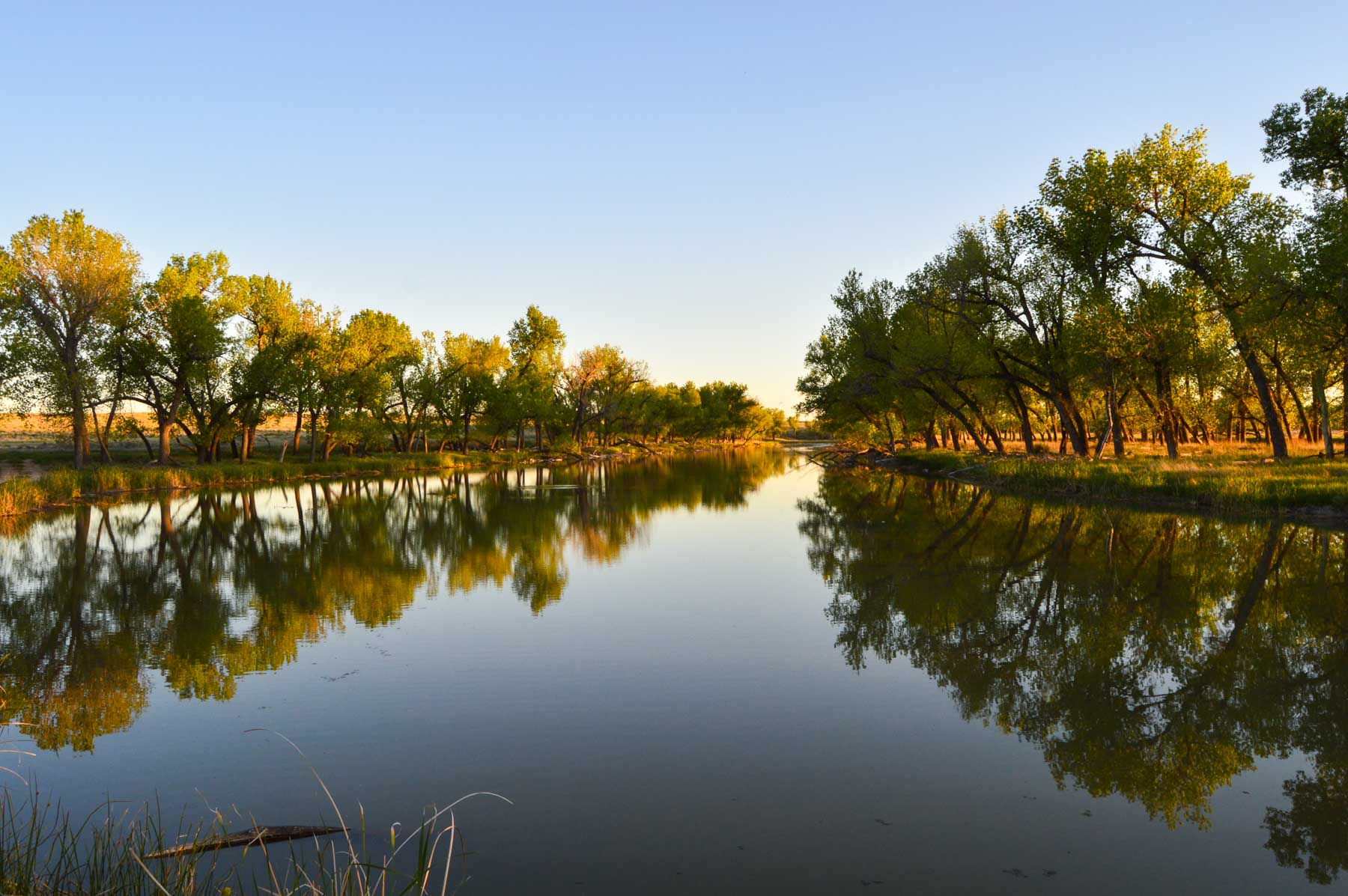 Freeman Family Ranches property picture 1 of 63