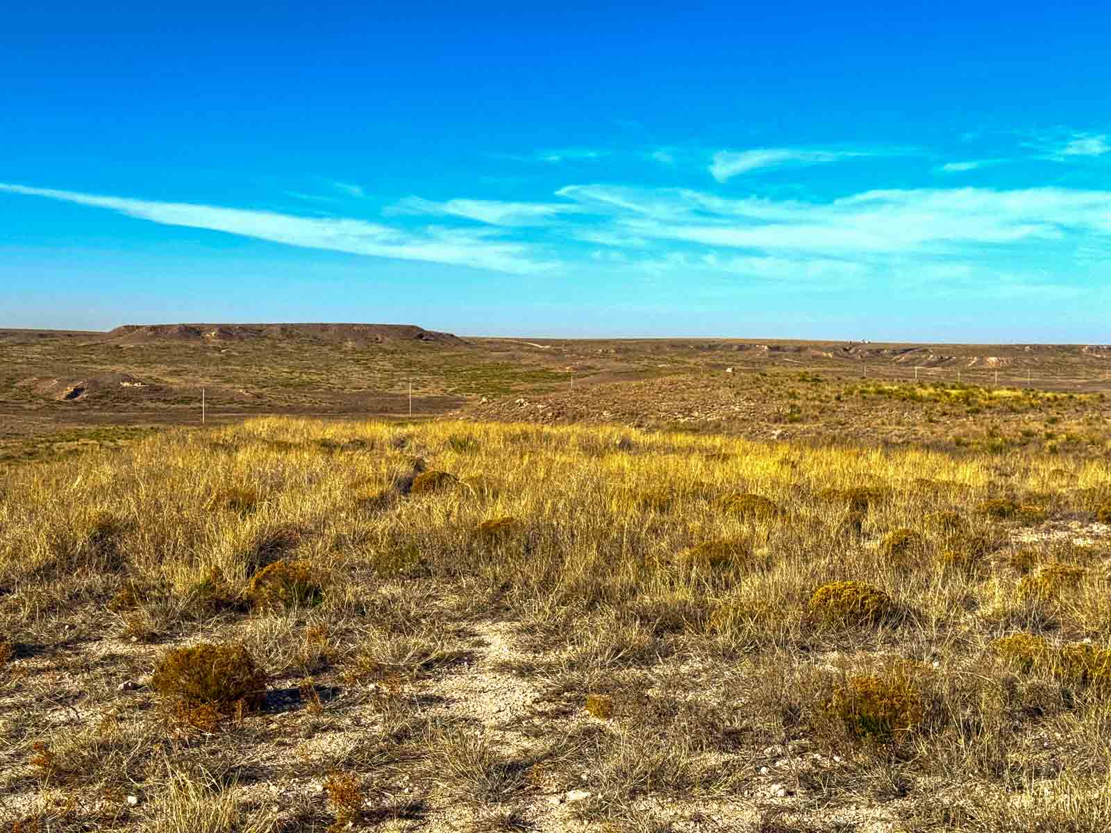 Freeman Family Ranches property picture 7 of 26