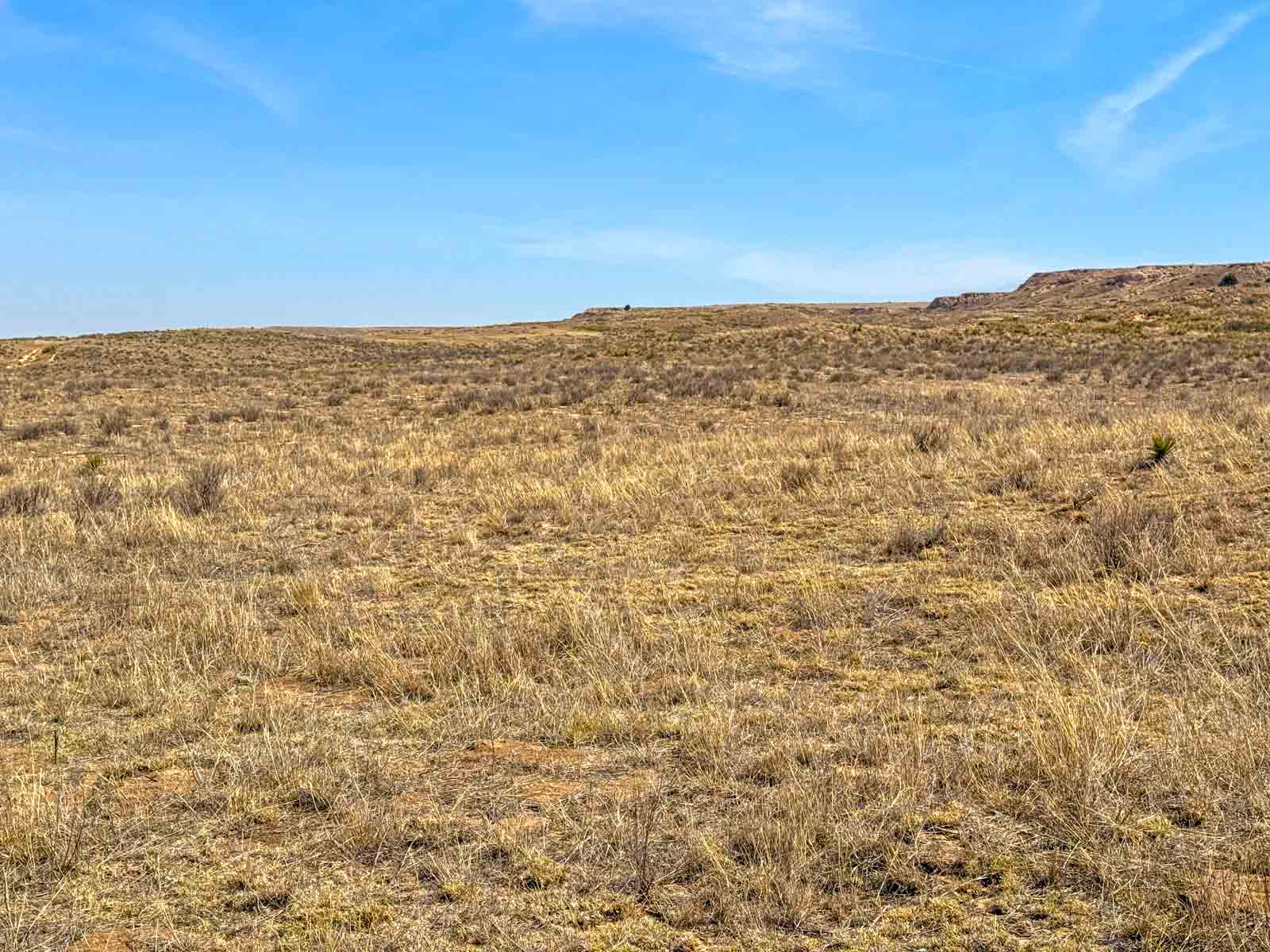 Freeman Family Ranches property picture 20 of 26