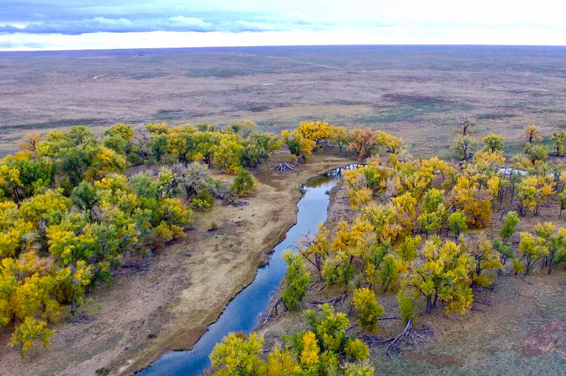 Freeman Family Ranches property picture 6 of 63